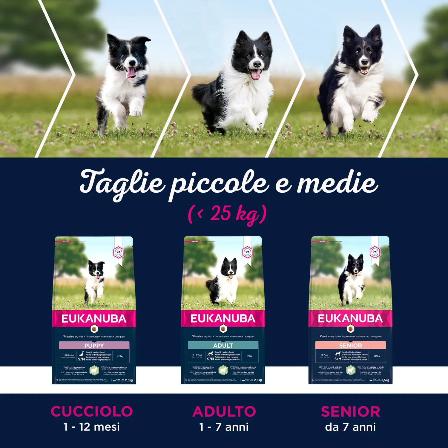 Eukanuba Cibo per cani con agnello e riso per razze piccole e medie, adulto, 12 kg - immagine 6