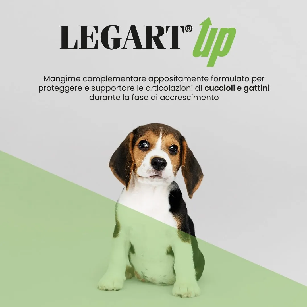 Aurora Biofarma Legart Up 60 Compresse - immagine 2