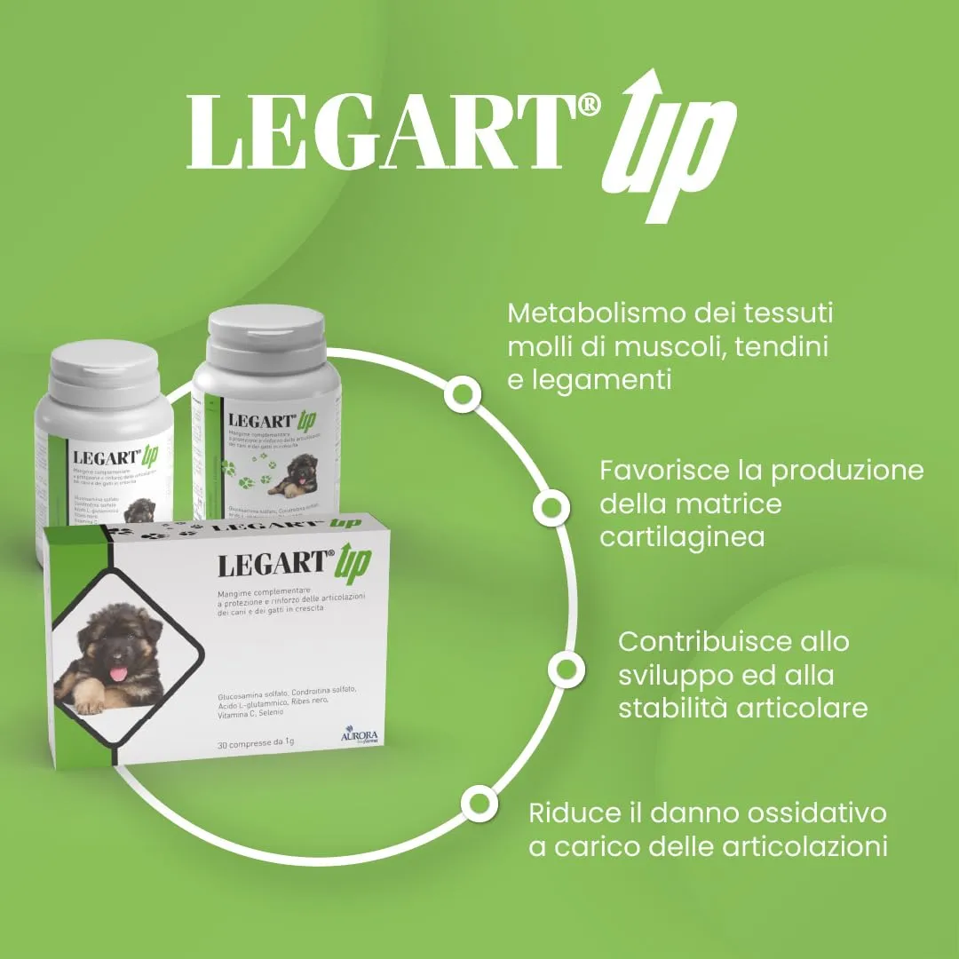 Aurora Biofarma Legart Up 60 Compresse - immagine 4
