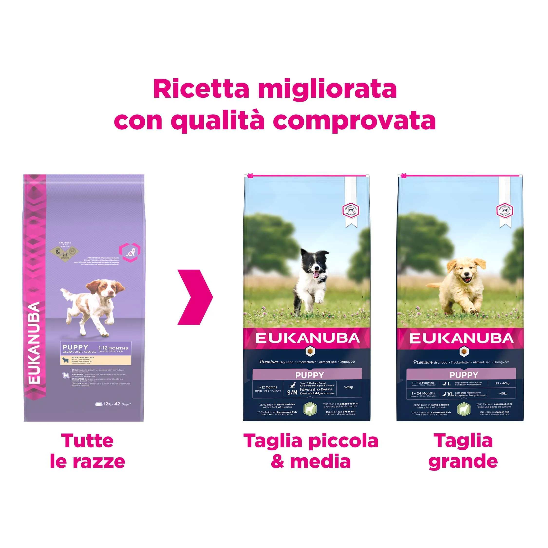 Eukanuba Cibo per cuccioli Agnello e Riso per razze di piccola e media taglia, 12 kg - immagine 3