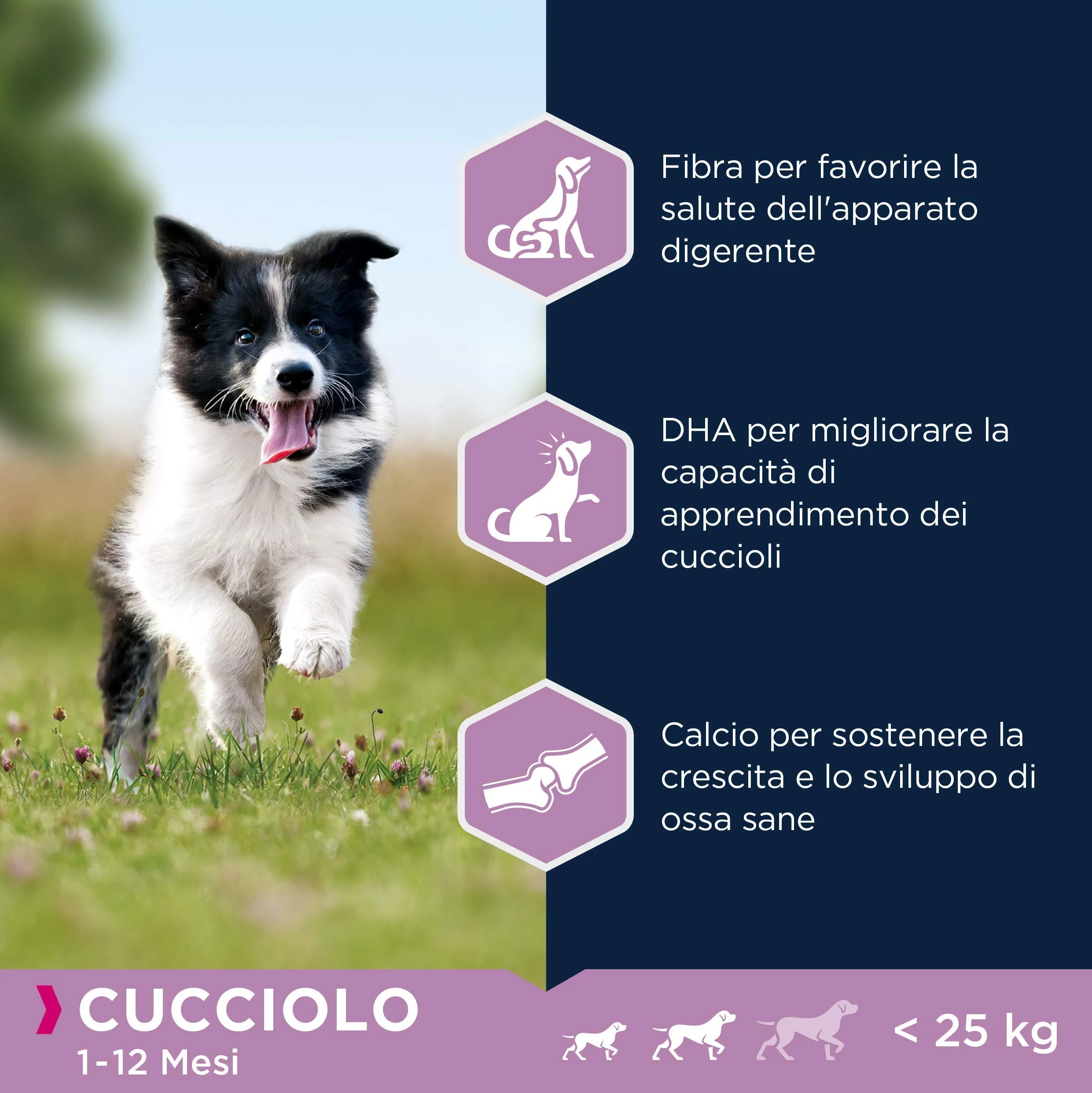 Eukanuba Cibo per cuccioli Agnello e Riso per razze di piccola e media taglia, 12 kg - immagine 5