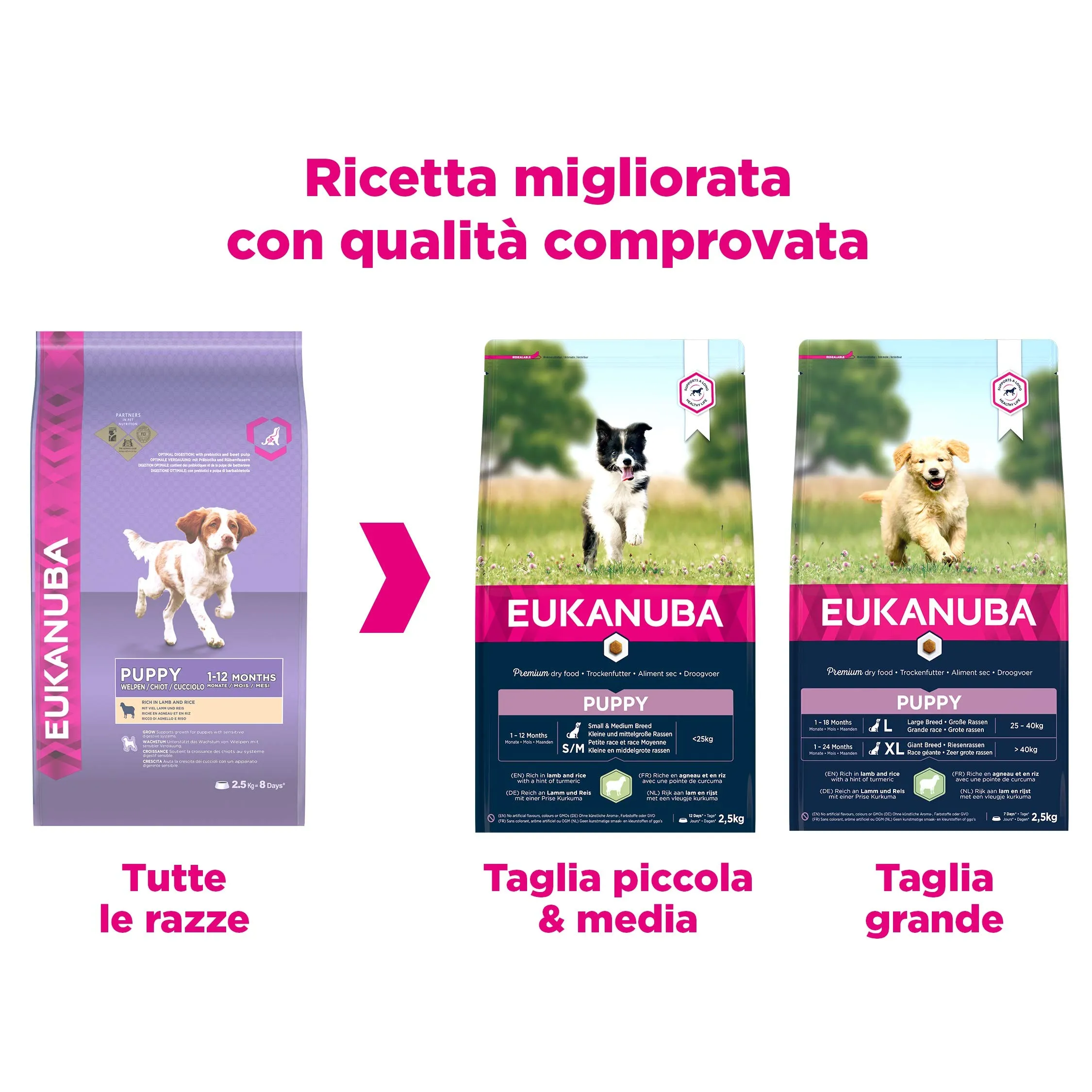 Eukanuba Cibo Secco per Cuccioli Agnello e Riso, 2,5 kg - immagine 3