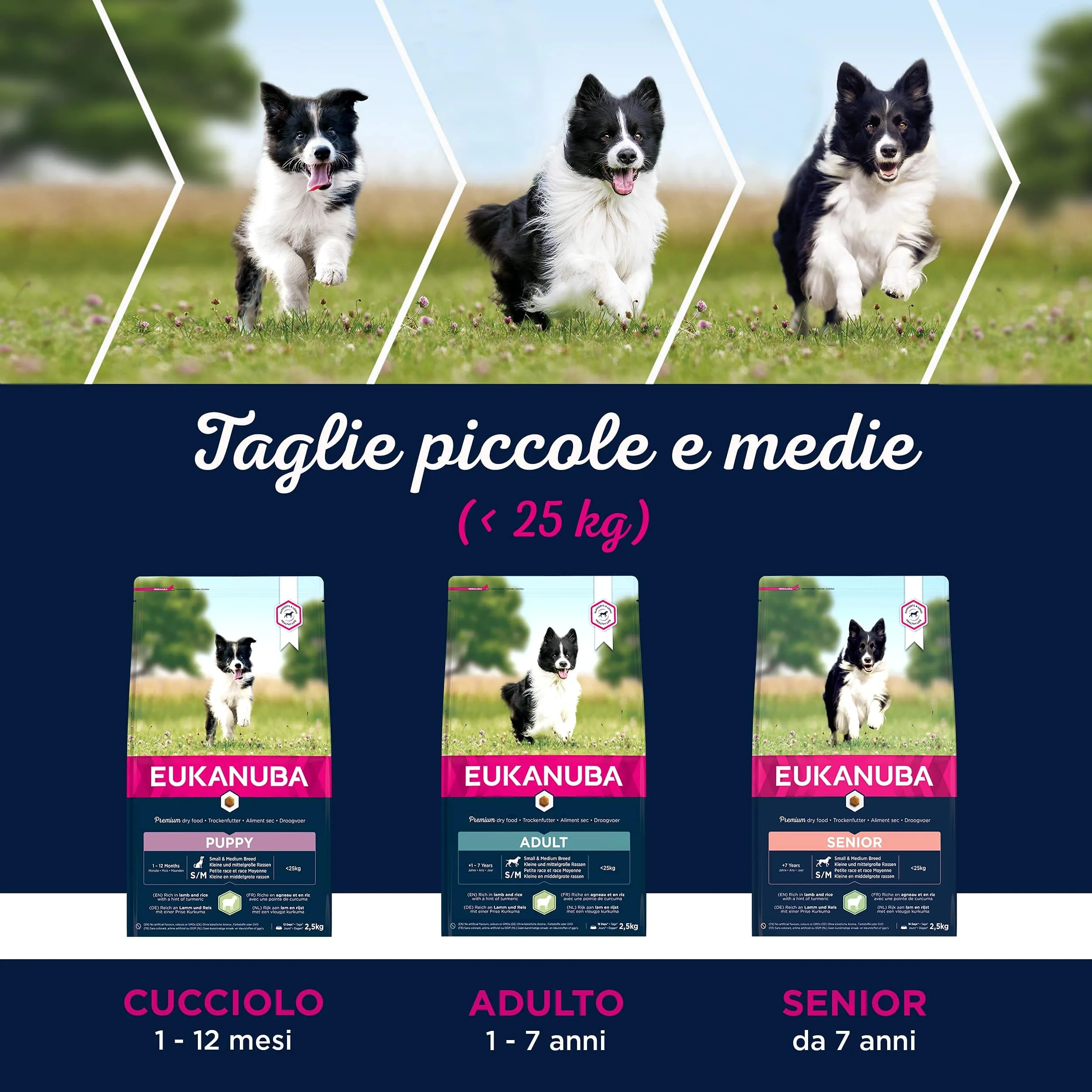 Eukanuba Cibo Secco per Cuccioli Agnello e Riso, 2,5 kg - immagine 7