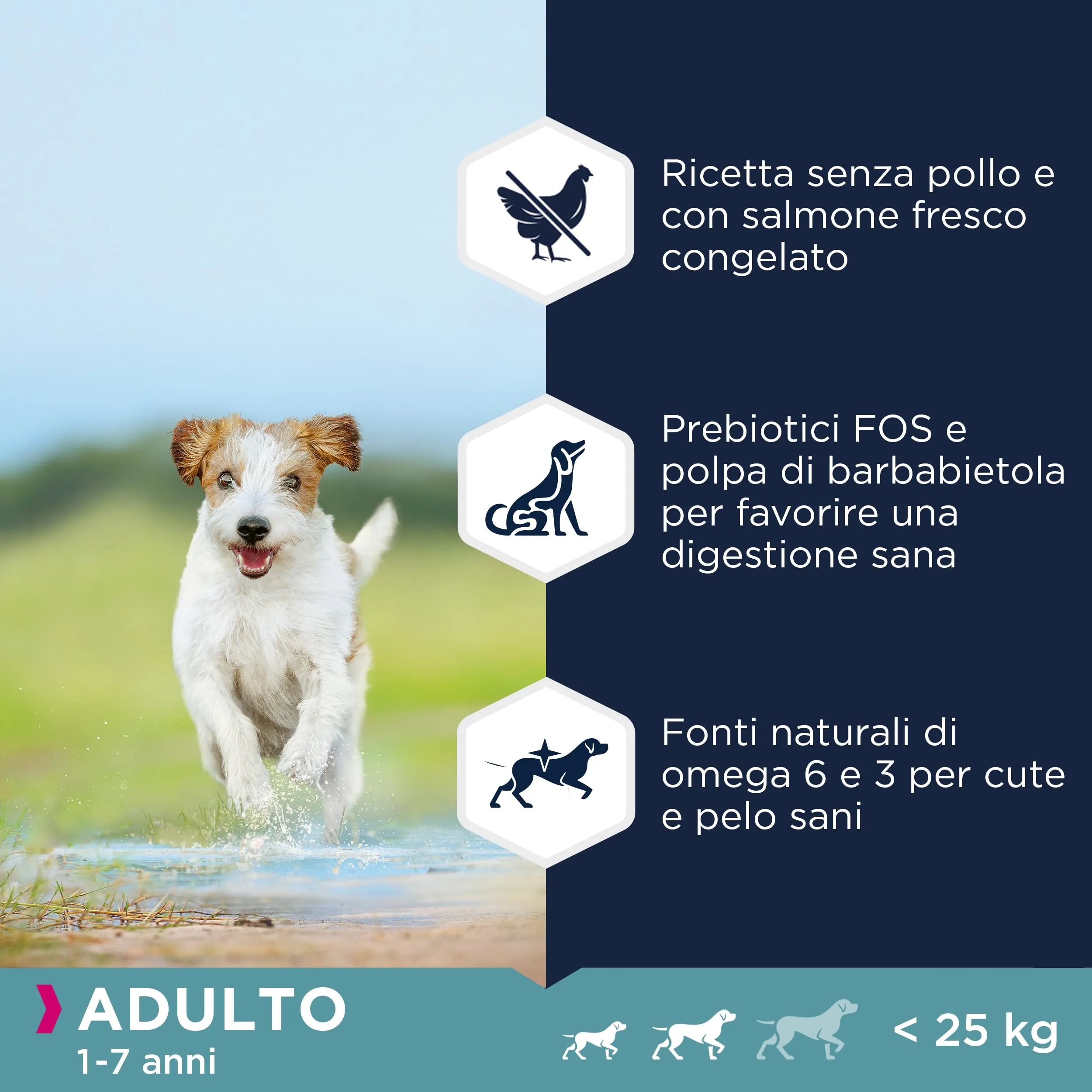 Eukanuba Grain Free Alimento per cani adulti di taglia piccola e media, Ricetta a basso contenuto di allergeni, 12 kg - immagine 4