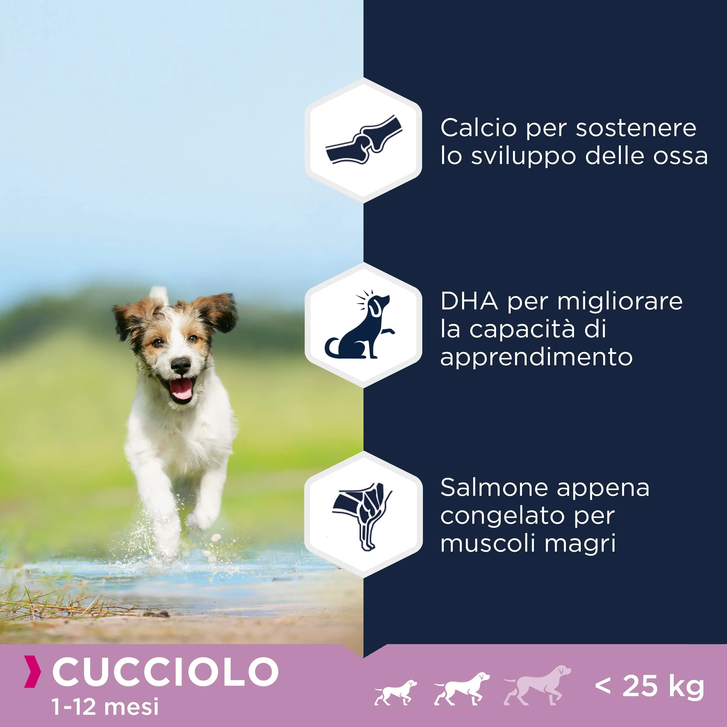 Eukanuba Grain Free Alimento per cuccioli di taglia piccola e media, Ricetta a basso contenuto di allergeni, 12 kg - immagine 4