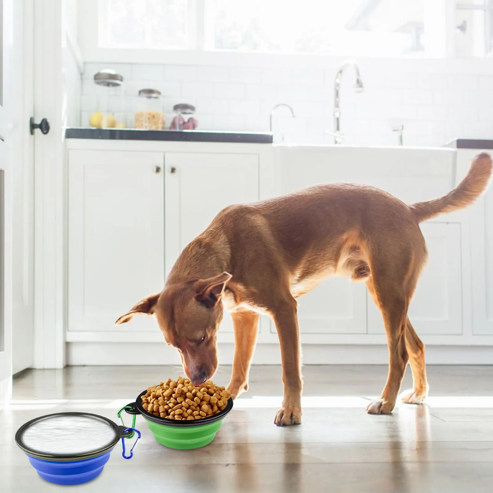 Magrimaxio 2 Pezzi Ciotola per Acqua e Cibo Portatile Pieghevole per Cani e Gatti con Moschettone - immagine 3