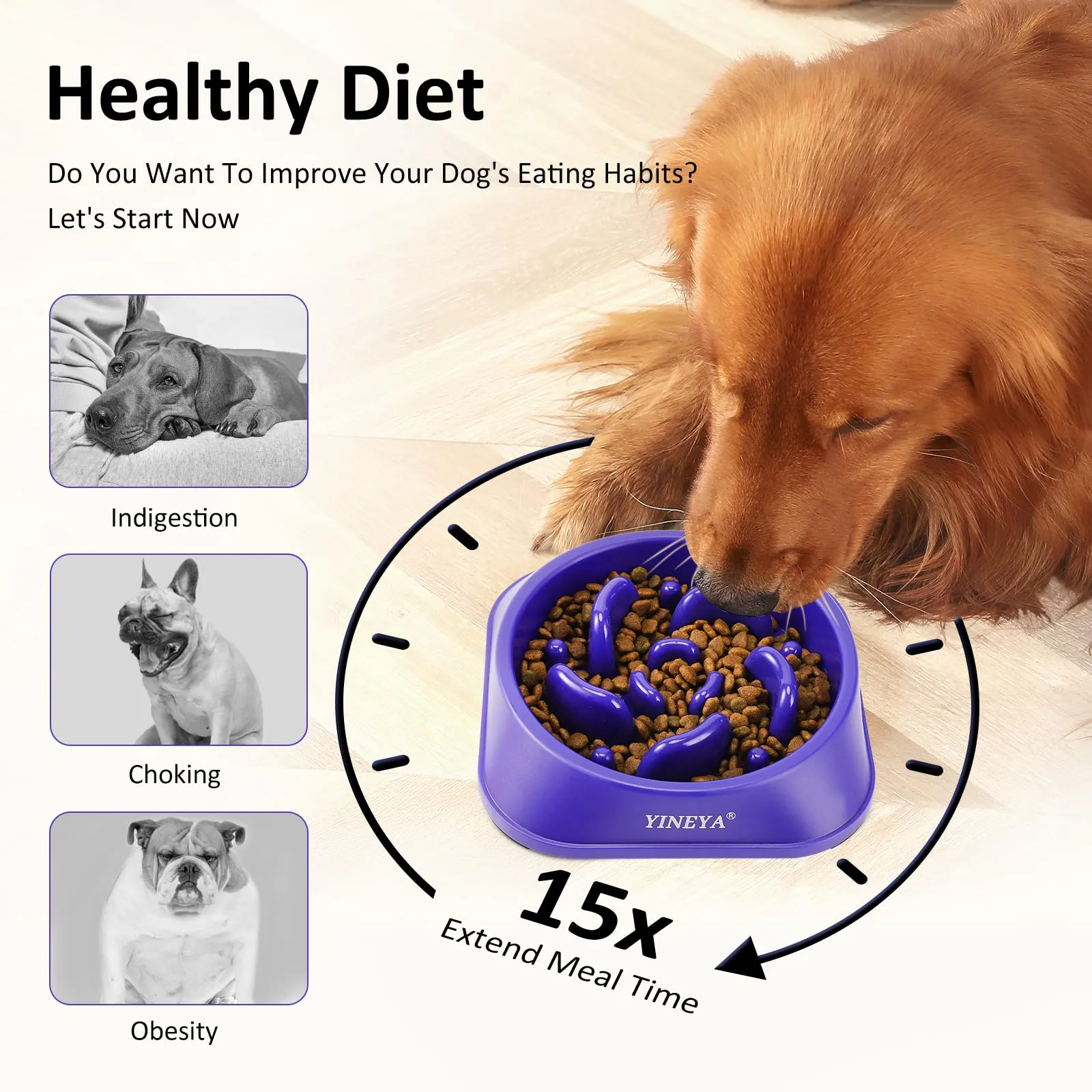 YINEYA Ciotola Anti Ingozzamento per Cani, Set da 2 Pezzi - immagine 3