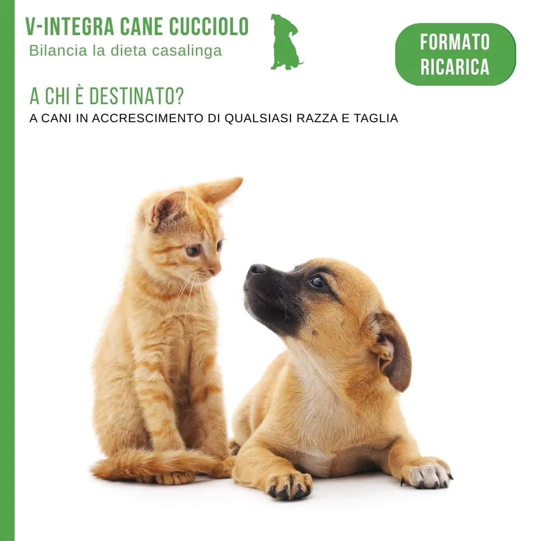 V-INTEGRA Cane Cucciolo Integratore Multivitaminico per Dieta Casalinga e BARF, 1kg ECO RICARICA - immagine 3