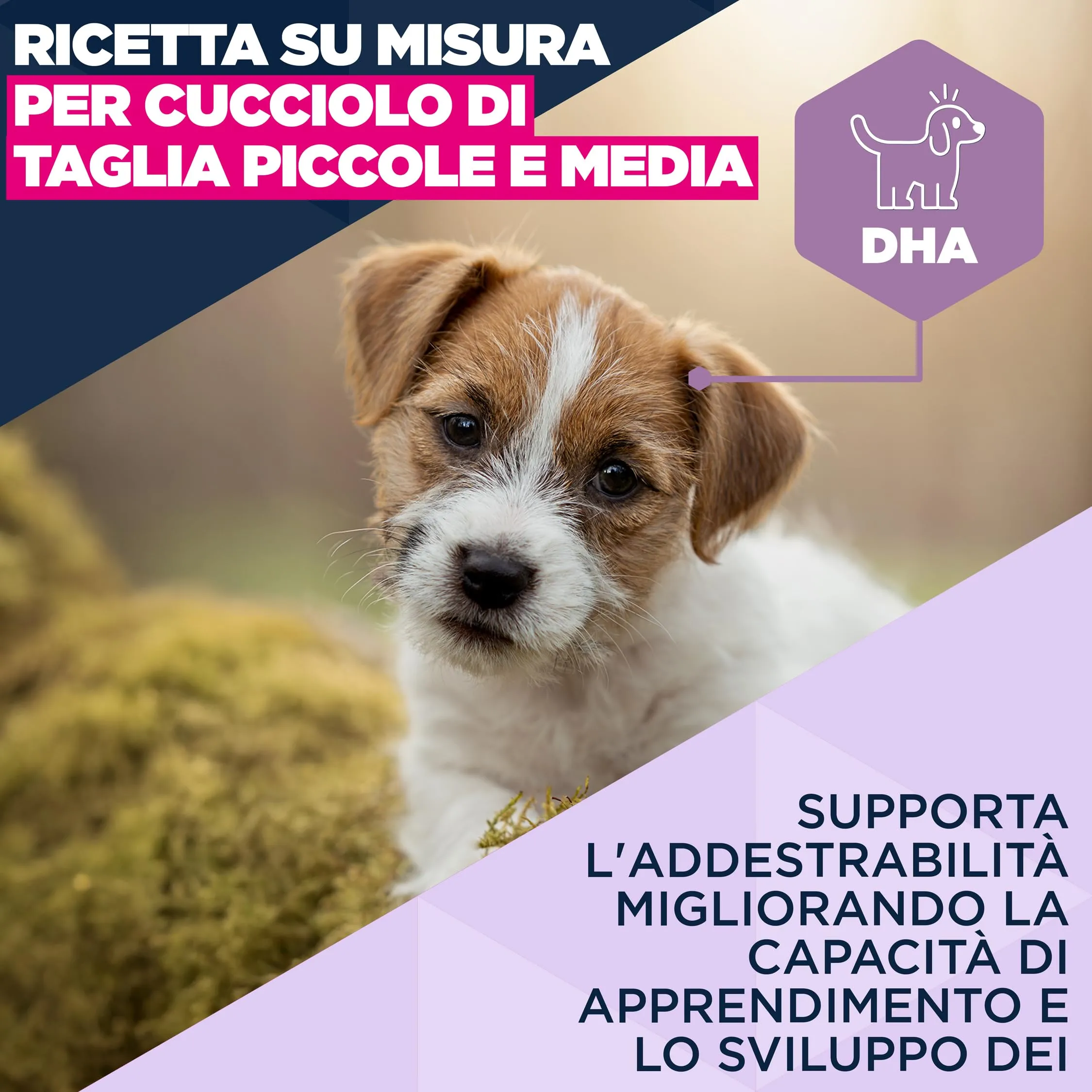 Eukanuba Crocchette cuccioli taglia piccola/media con agnello e riso, 12 kg - immagine 3