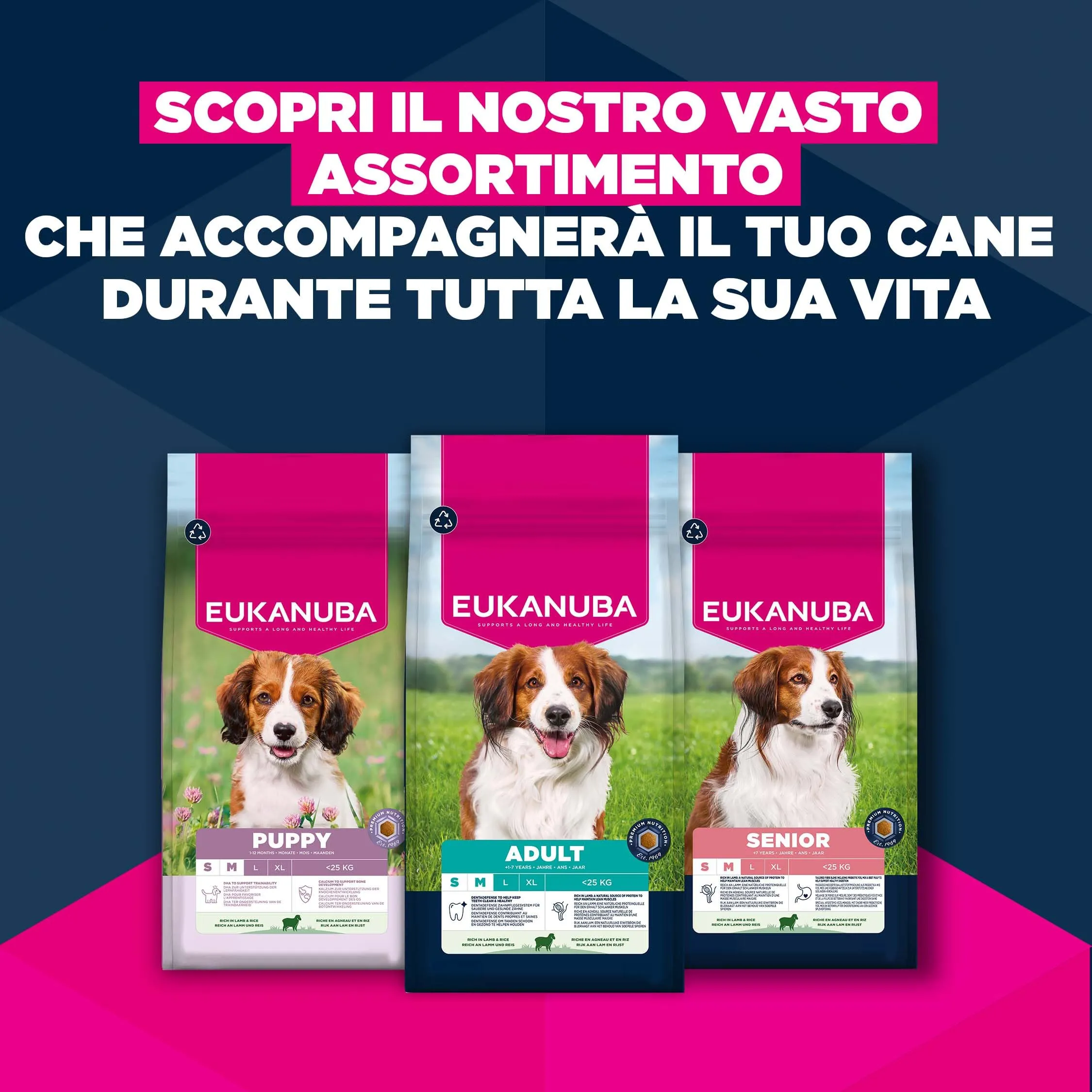 Eukanuba Crocchette cuccioli taglia piccola/media con agnello e riso, 12 kg - immagine 10