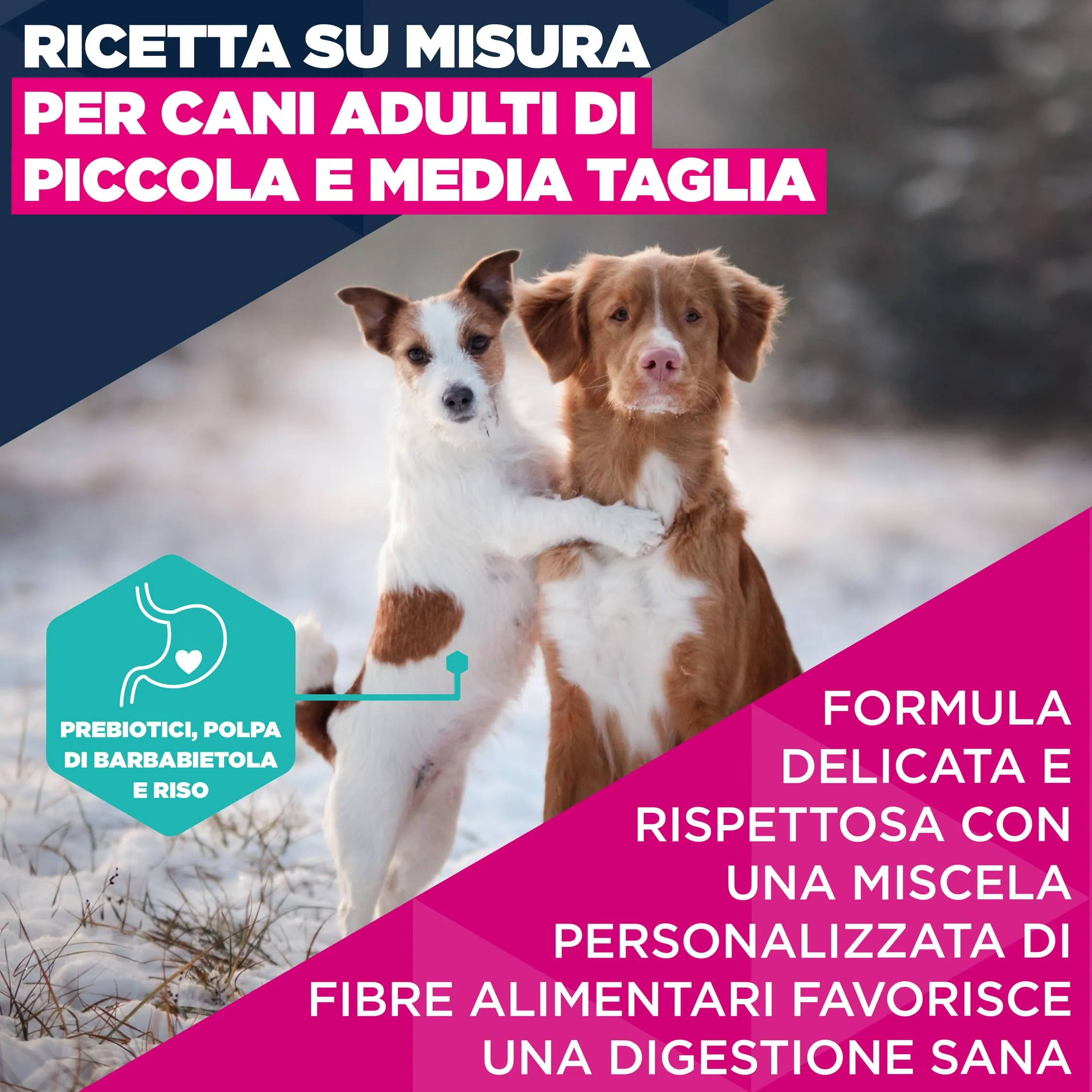 Eukanuba Crocchette per cani adulti taglia piccola/media agnello e riso, 3 kg - immagine 3