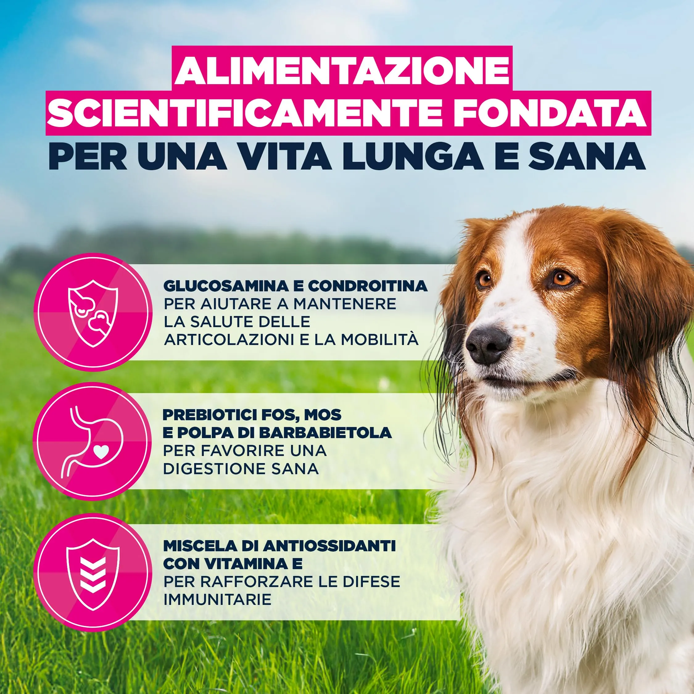 Eukanuba Crocchette cani anziani taglia piccola/media agnello e riso, 3 kg - immagine 5