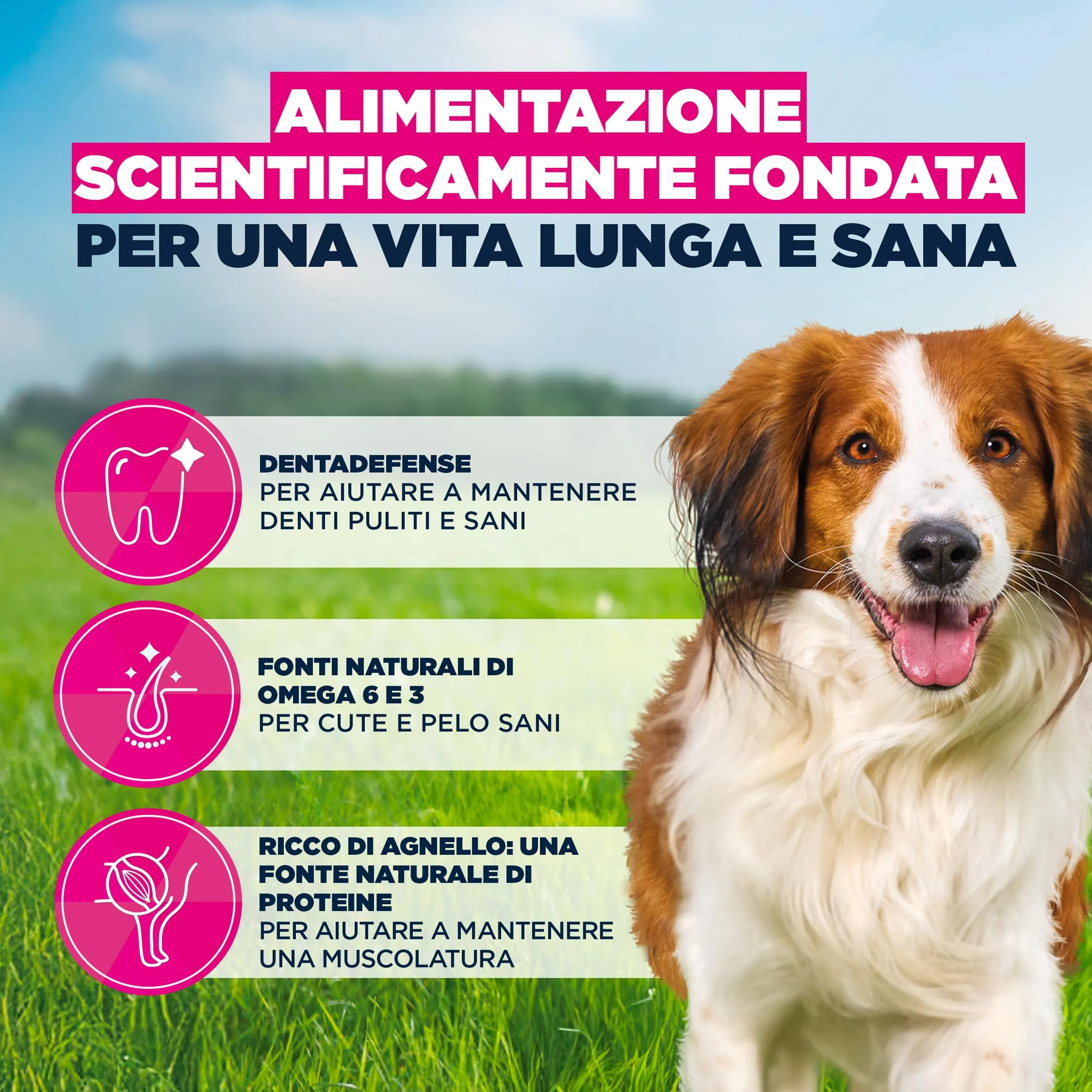 Eukanuba Crocchette cani adulti taglia piccola/media agnello e riso, 12 kg - immagine 5