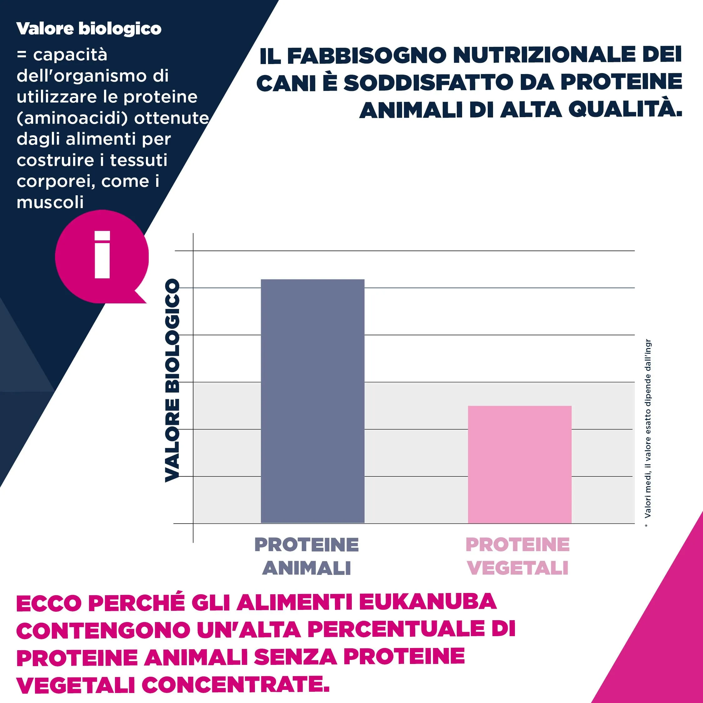 Eukanuba Crocchette cani adulti taglia piccola/media agnello e riso, 12 kg - immagine 9