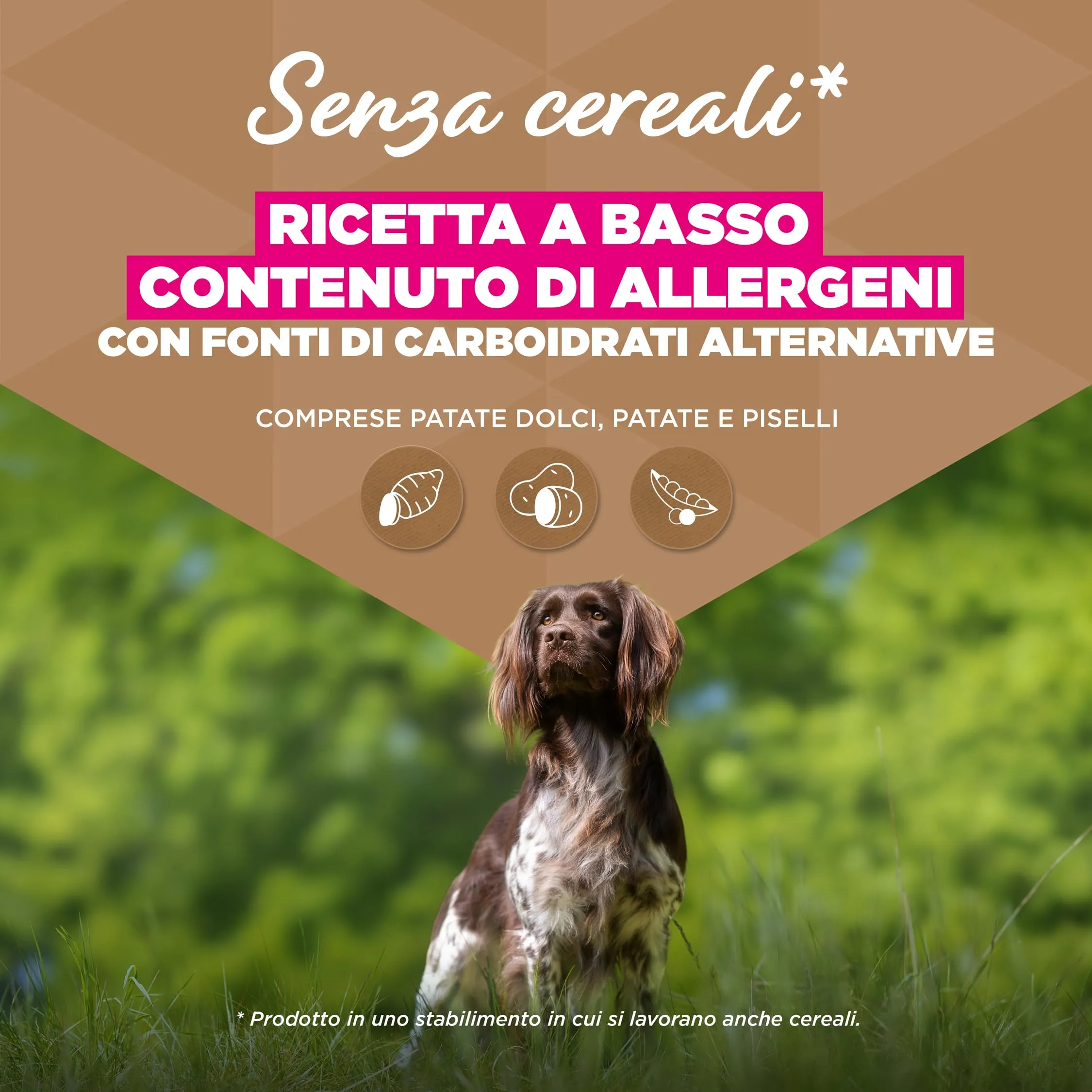 Eukanuba Crocchette per cani anziani taglia piccola/media al pesce, 3 kg - immagine 3