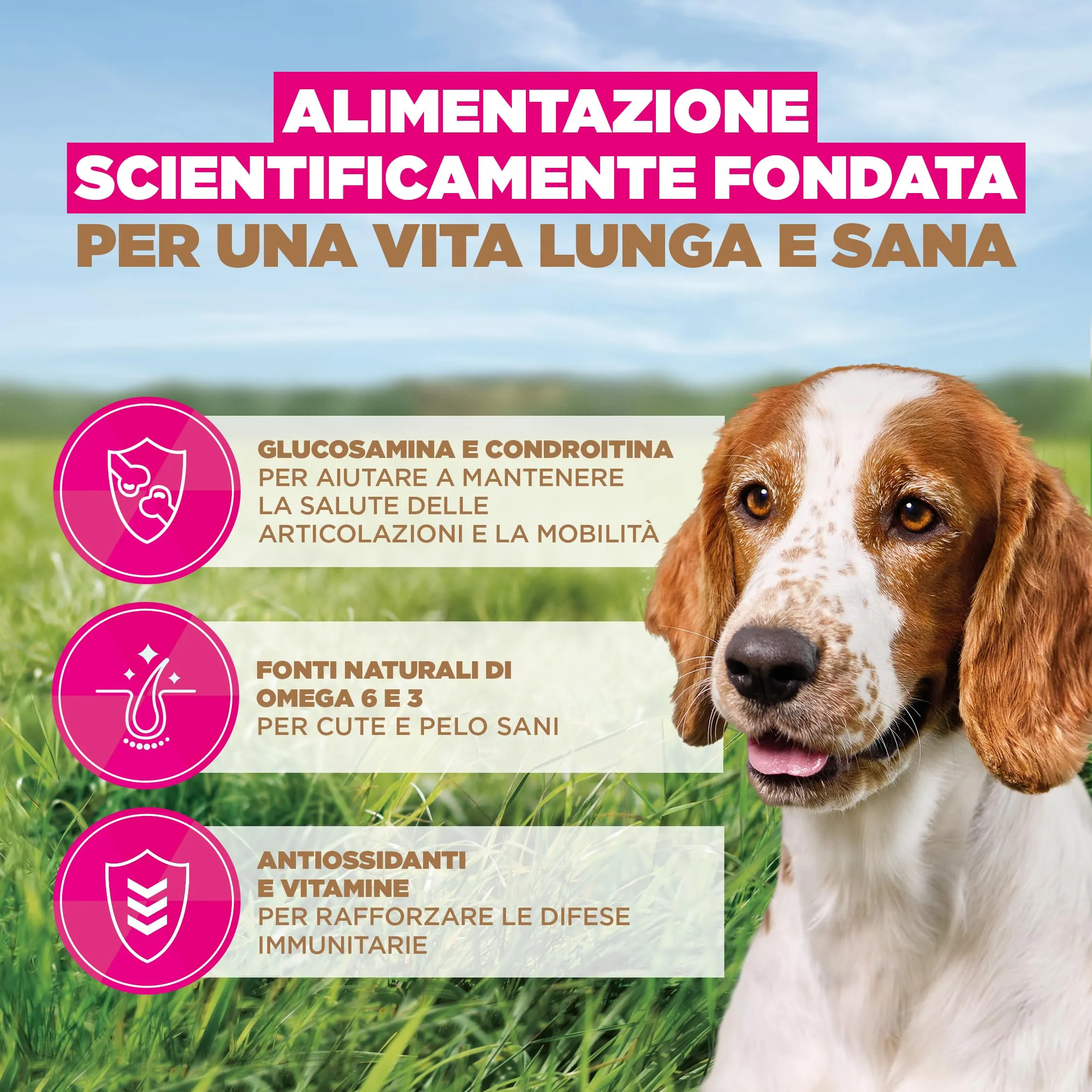 Eukanuba Crocchette per cani anziani taglia piccola/media al pesce, 3 kg - immagine 5