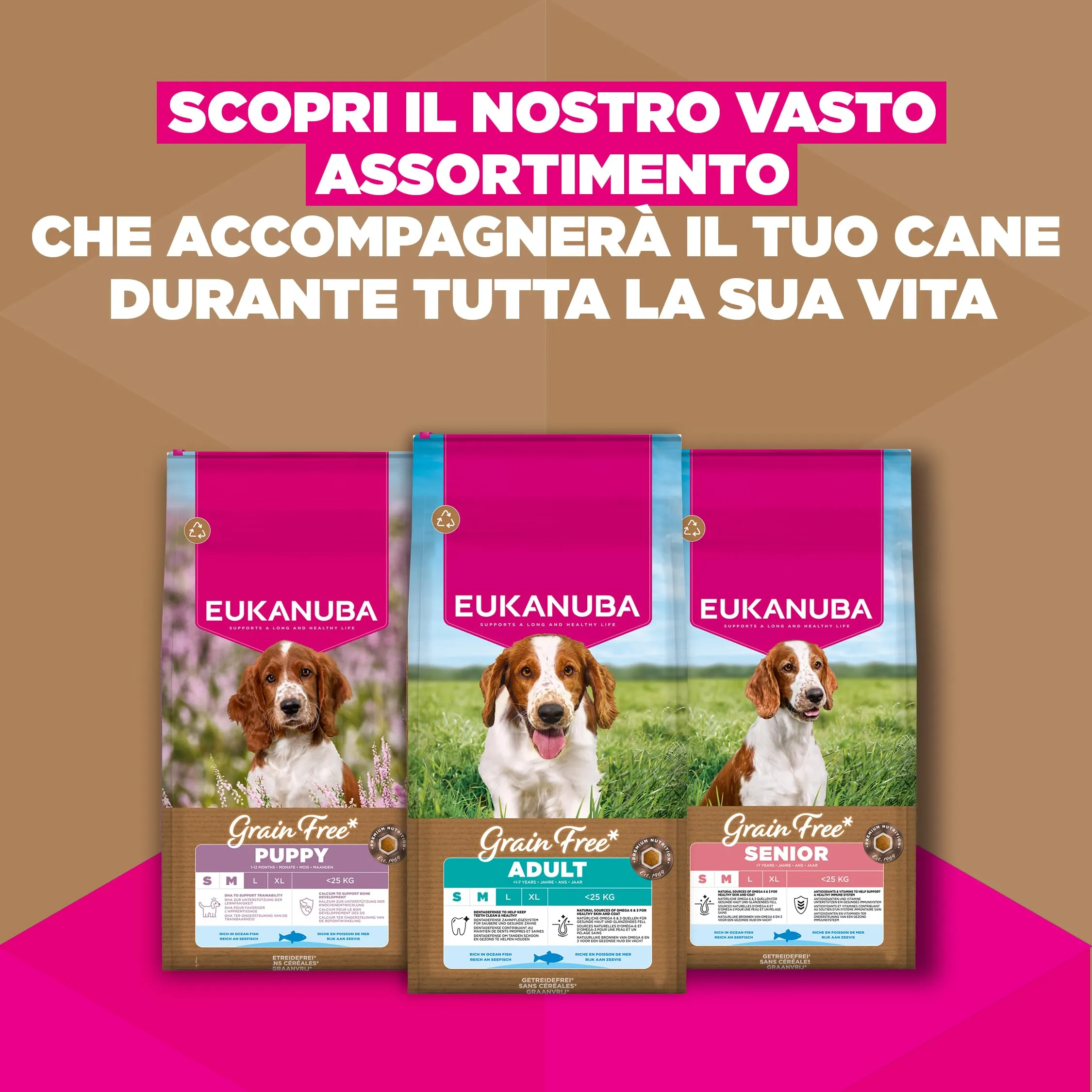 Eukanuba Crocchette per cani anziani taglia piccola/media al pesce, 3 kg - immagine 9