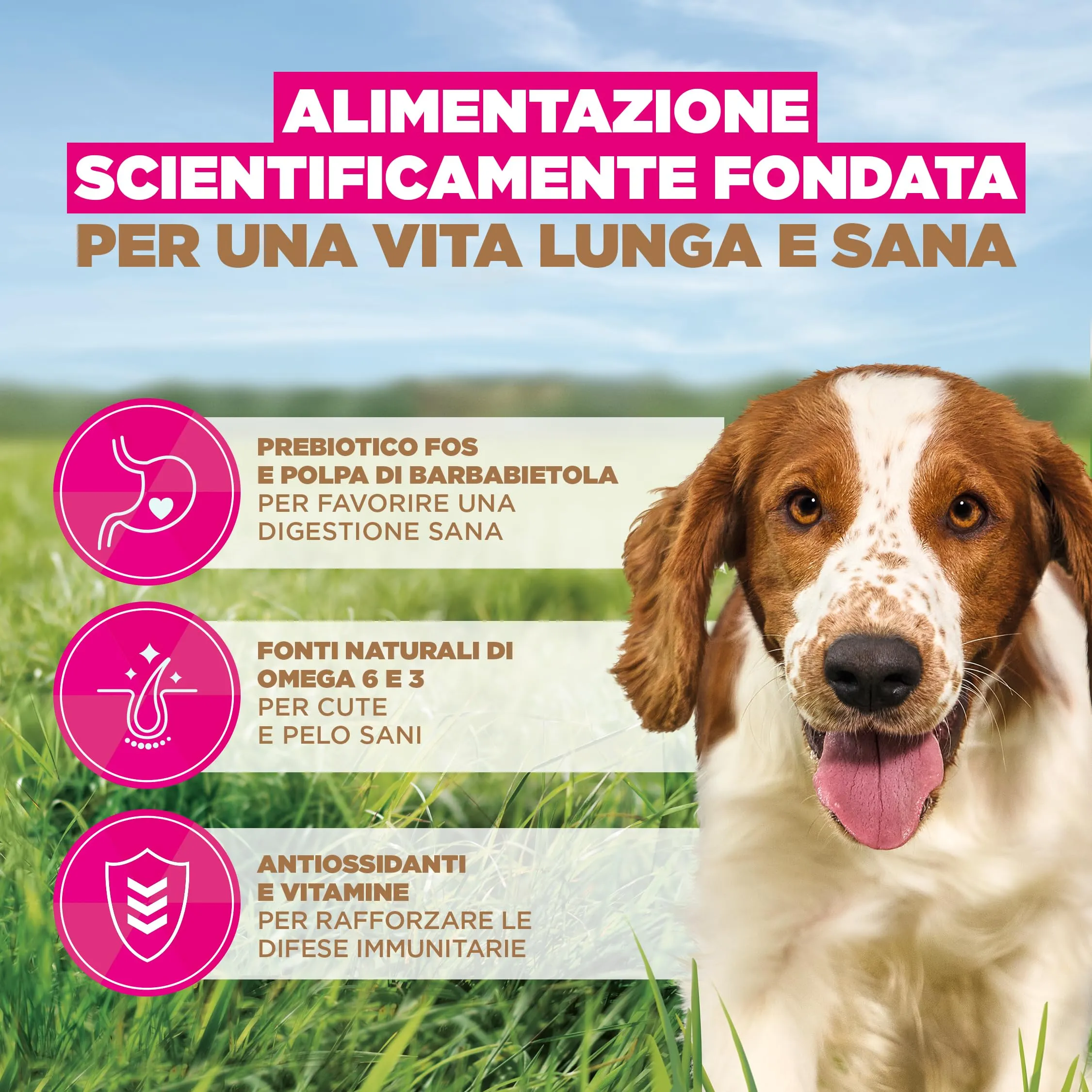 Eukanuba Crocchette per cani adulti taglia piccola/media al pesce, 12 kg - immagine 5
