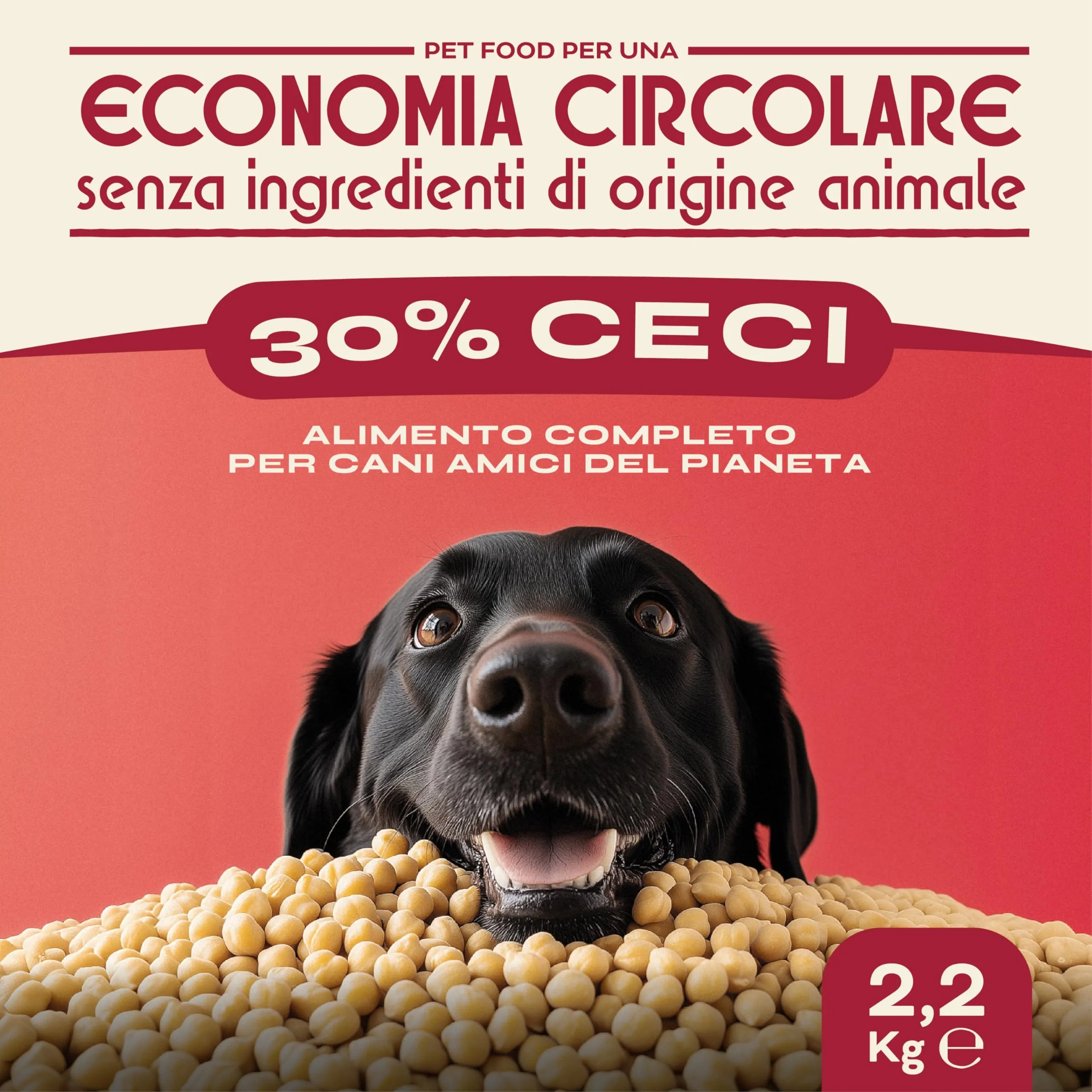 Proggy Care Crocchette per Cani Adulti (10–45 kg), Alimento Completo 100% Vegetale al Gusto Ceci, Multipack 3×2,2 kg - immagine 2