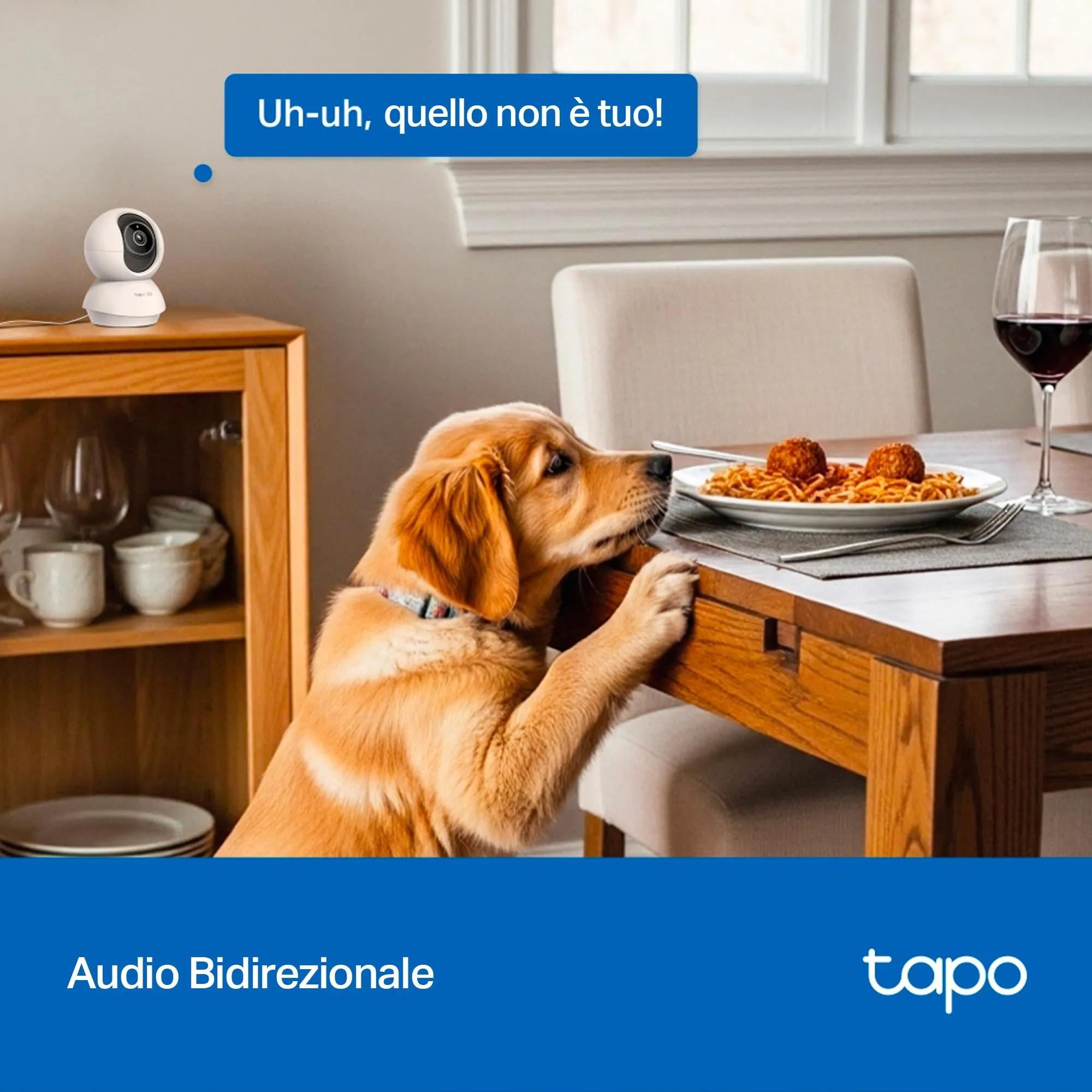 Tapo C250 Telecamera di sorveglianza 4K per interni 360° con rilevamento IA e zoom - immagine 10