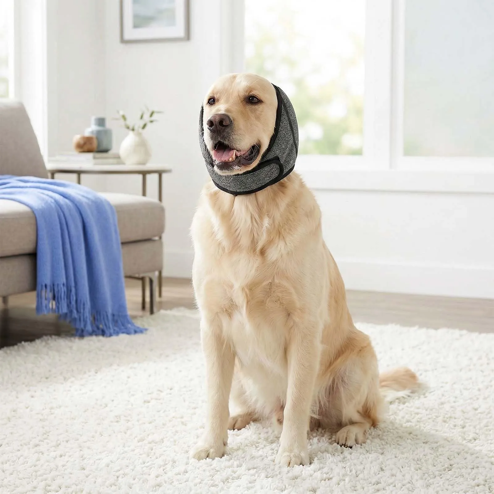 Naapesi Paraorecchie Antirumore per Cani, Fascia Elastica Calmante per Ansia, Bagno e Toelettatura, Grigio, L - immagine 3