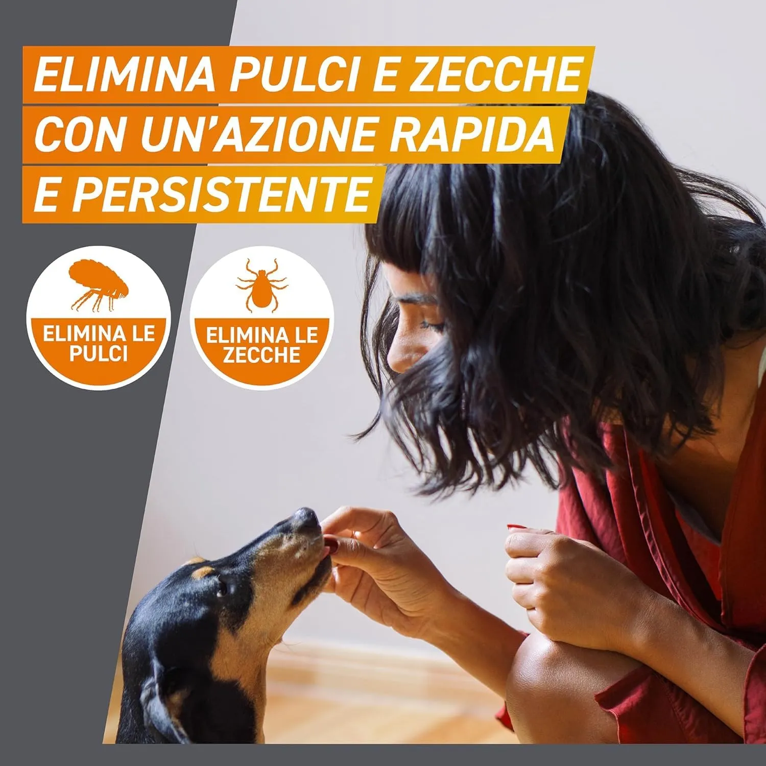 Frontpro Compresse Masticabili per Cani contro Pulci e Zecche (10-25kg), 3 Pezzi - immagine 4