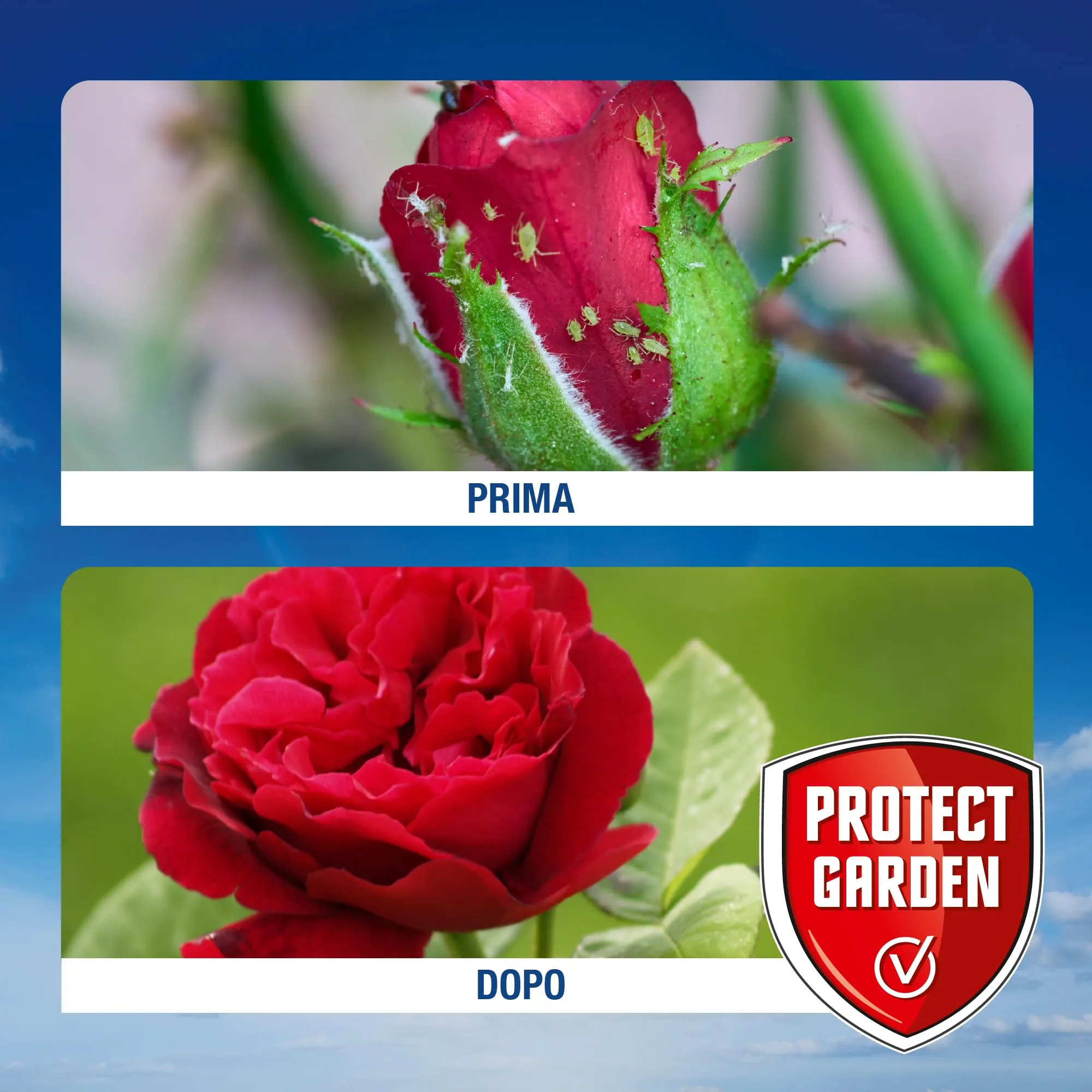 Protect Garden Sanium AL PFnPO Insetticida Sistemico Pronto Uso 500ml - immagine 7
