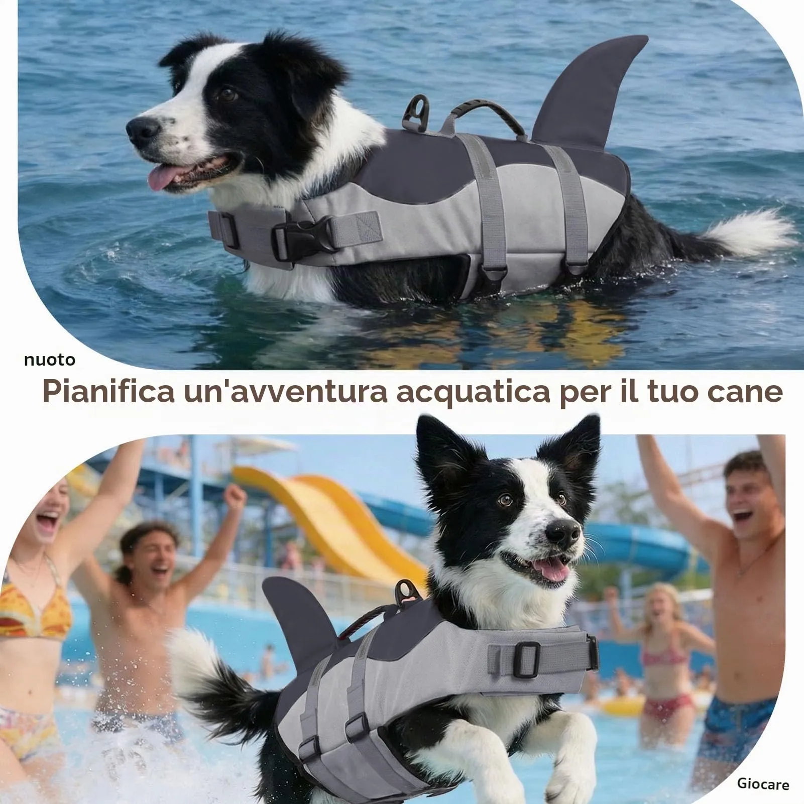 CITÉTOILE Salvagente per Cane Ripstop Regolabile con Pinna di Squalo, Grigio, L - immagine 6