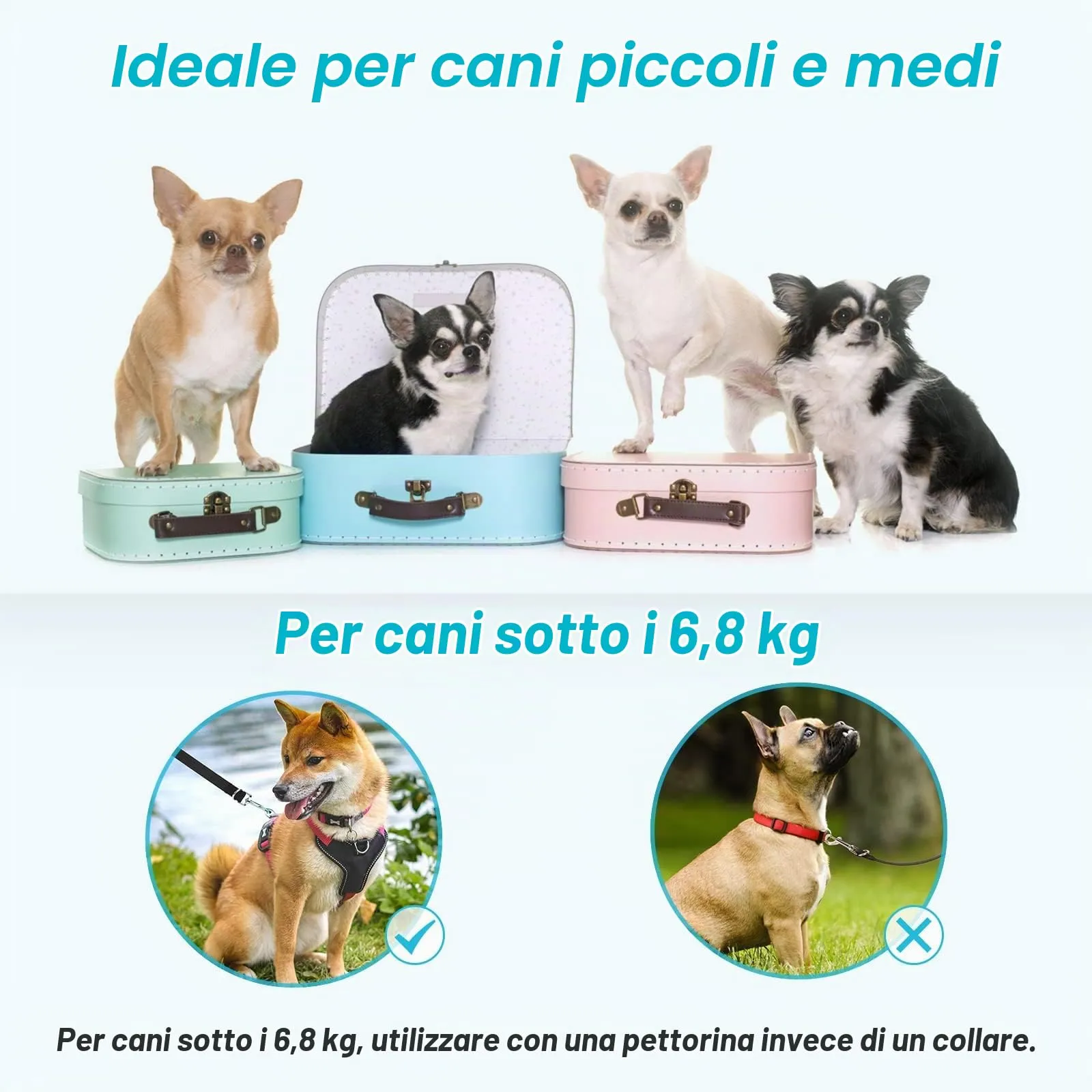 oneisall Guinzaglio Doppi per Cani, 2.5 Metri, Regolabile in Nylon per Taglia Piccola Media e Grande - immagine 7