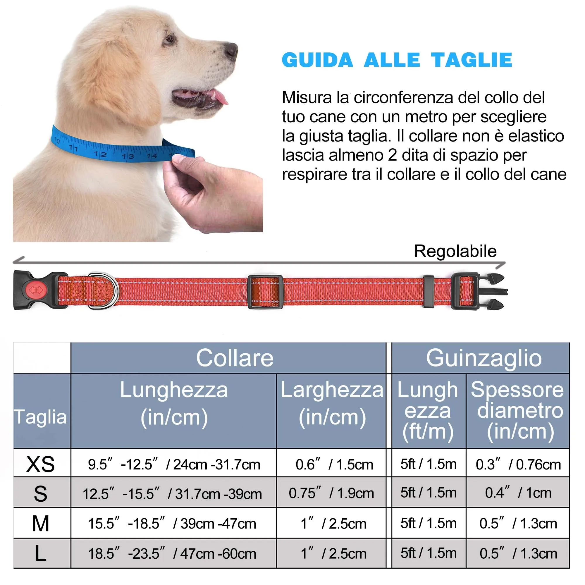 haapaw Collare Riflettente in Nylon e Neoprene per Cani Piccoli Medi Grandi, Rosso, S 31.7-39cm - immagine 7