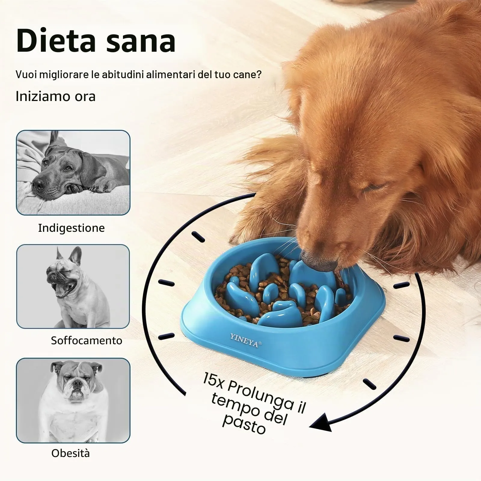 YINEYA Ciotola Anti-Ingozzamento per Cani, 1 Pezzo - immagine 3