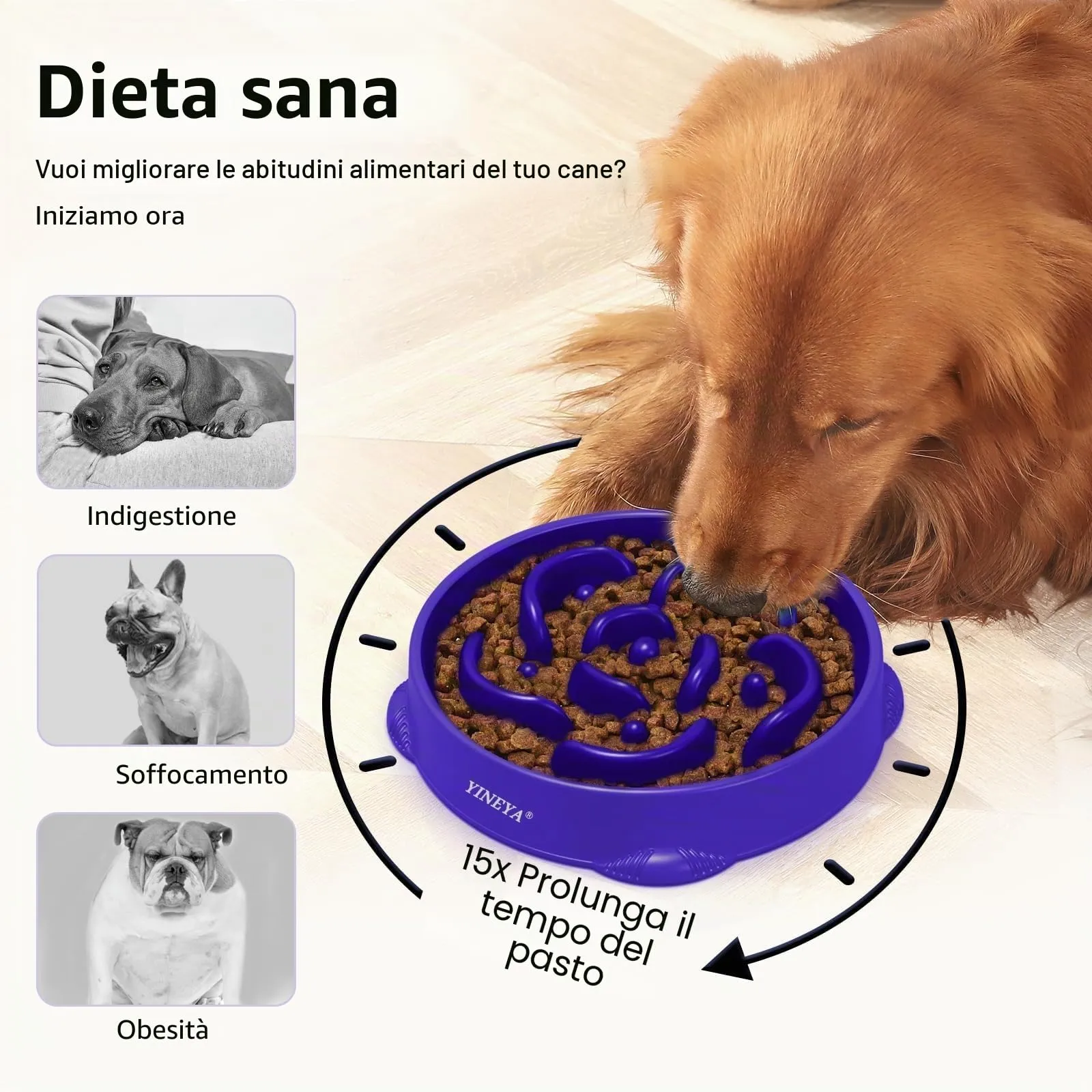 YINEYA Ciotola Anti-Ingozzamento per Cani Grandi, Set da 2 Pezzi - immagine 3