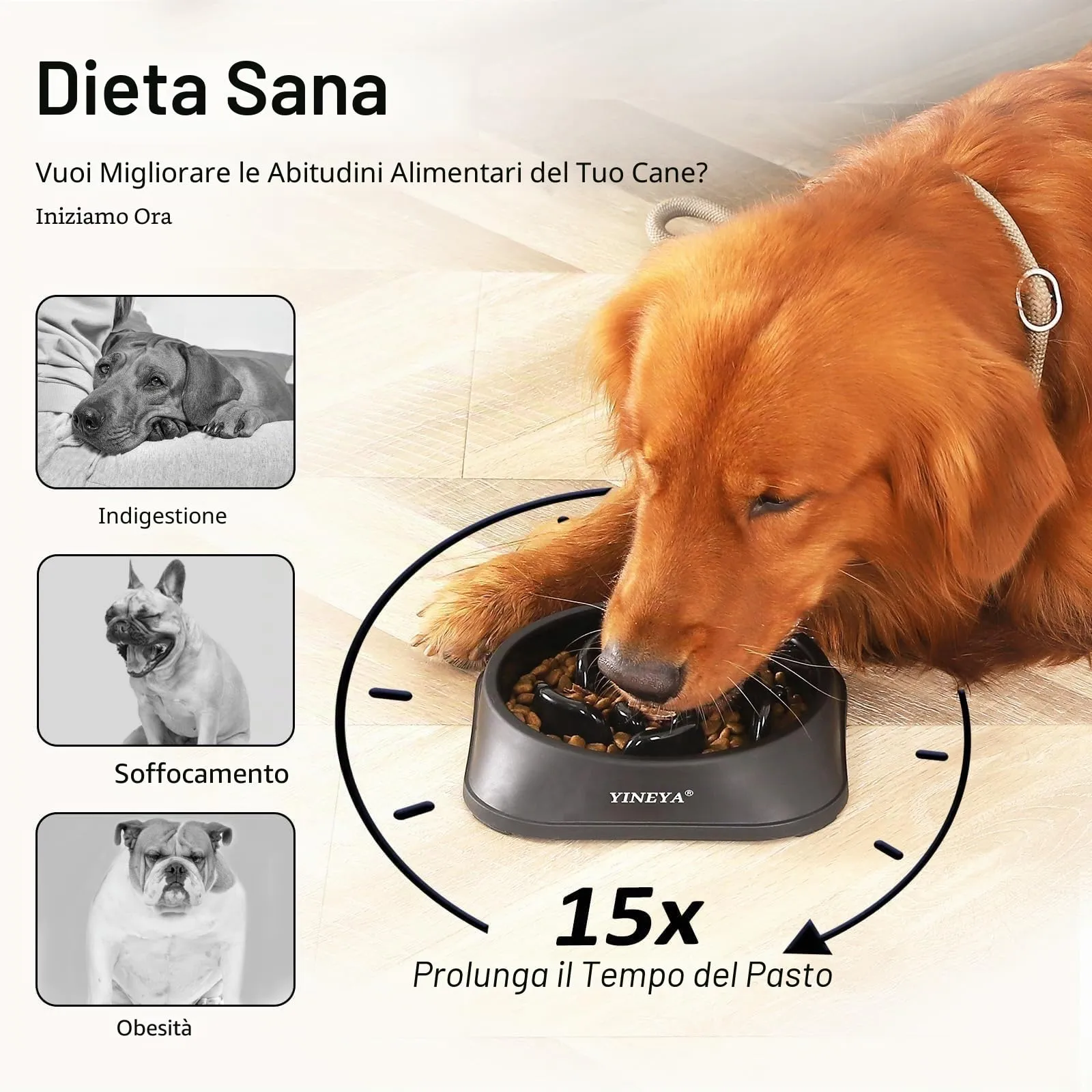 YINEYA Ciotola Anti-Ingozzamento per Cani, Nero, Medio - immagine 3