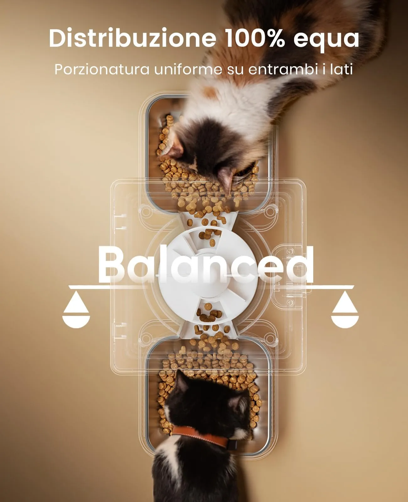 oneisall Distributore automatico di cibo per gatti 5L con 2 ciotole, Bianco - immagine 3
