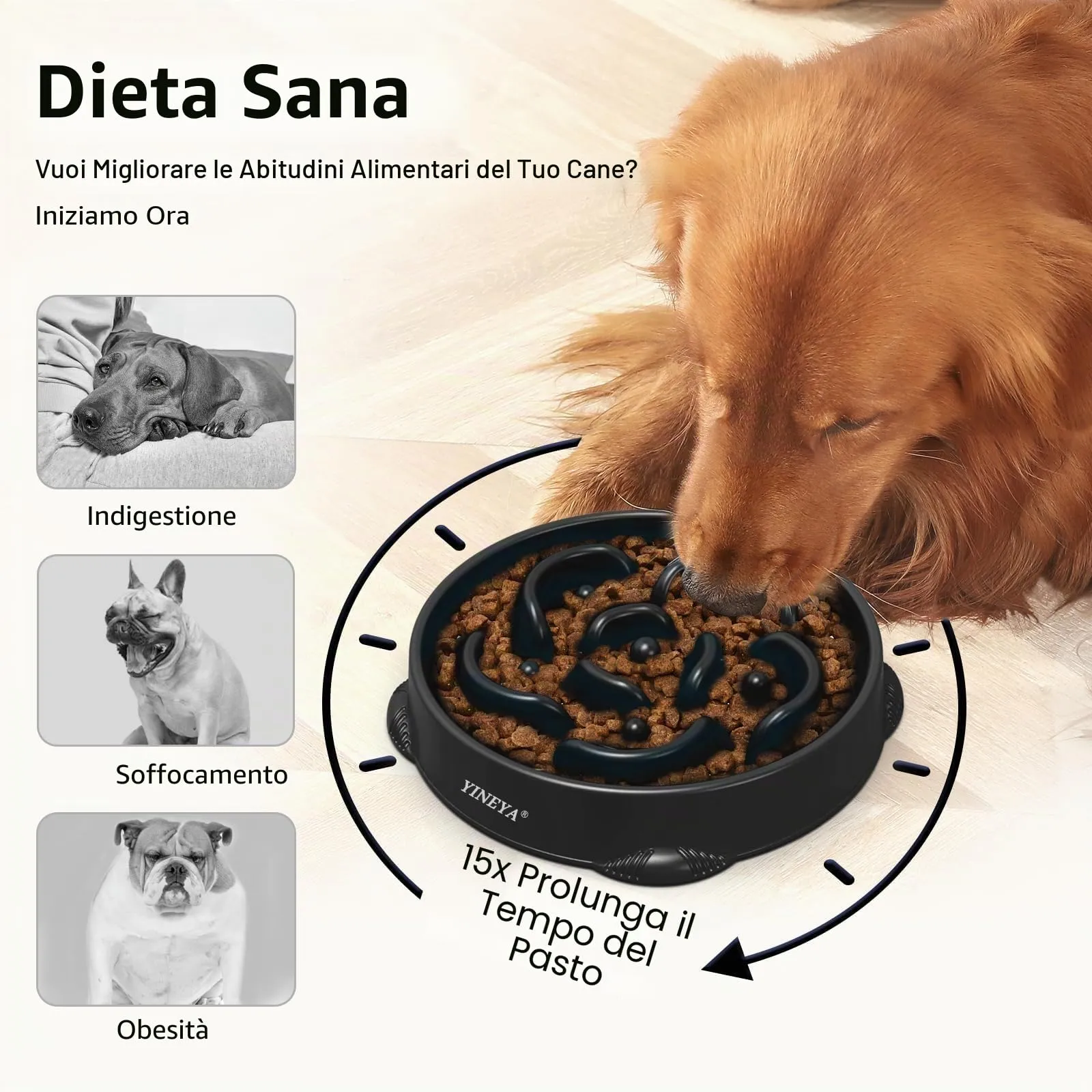 YINEYA Ciotole Anti-Ingozzamento per Cani Grandi, Set da 2 Pezzi - immagine 3