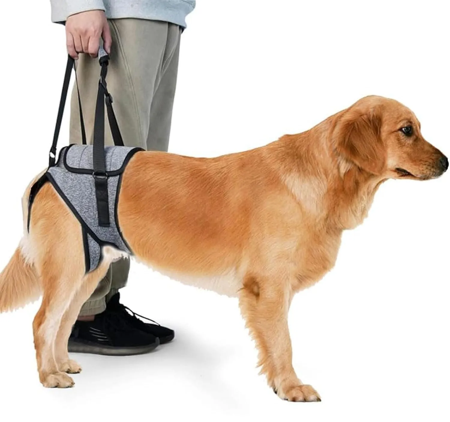 KOMUNJ Imbracatura di sollevamento per zampe posteriori per cani anziani, disabili e feriti, XL - immagine 1