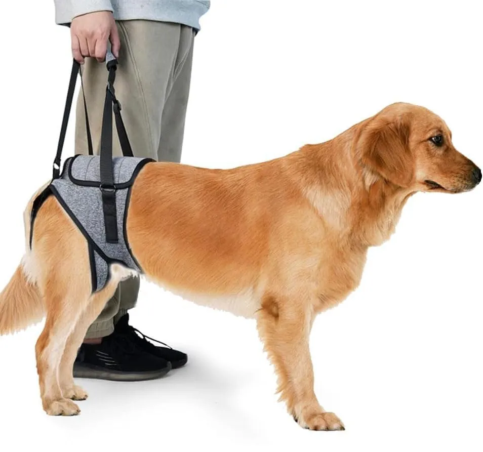 KOMUNJ Imbracatura di sollevamento per zampe posteriori per cani anziani, disabili e feriti, XL - immagine 2