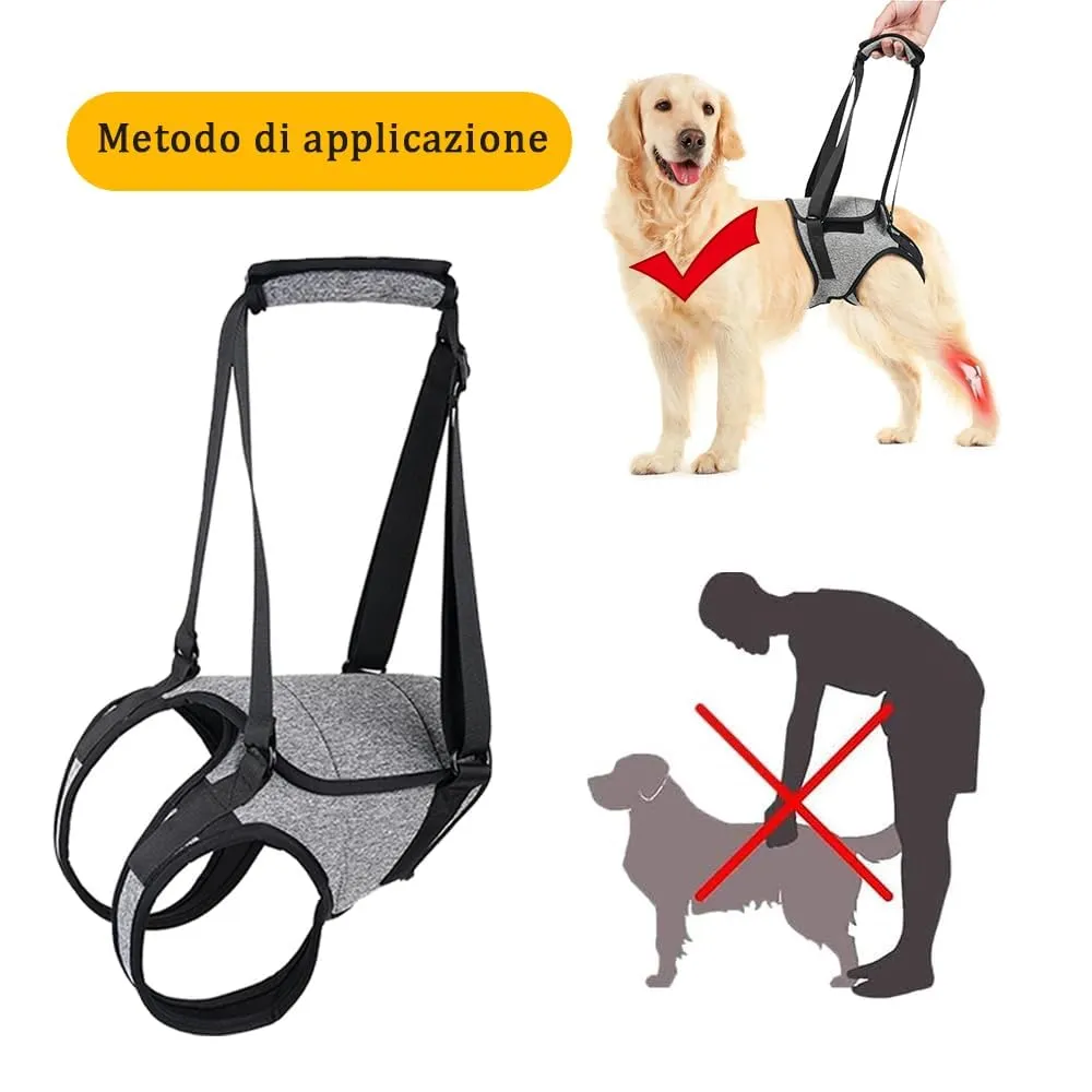 KOMUNJ Imbracatura di sollevamento per zampe posteriori per cani anziani, disabili e feriti, XL - immagine 5