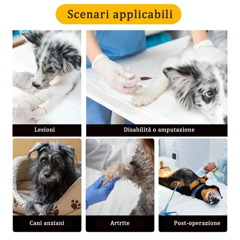 KOMUNJ Imbracatura di sollevamento per zampe posteriori per cani anziani, disabili e feriti, XL - immagine 7