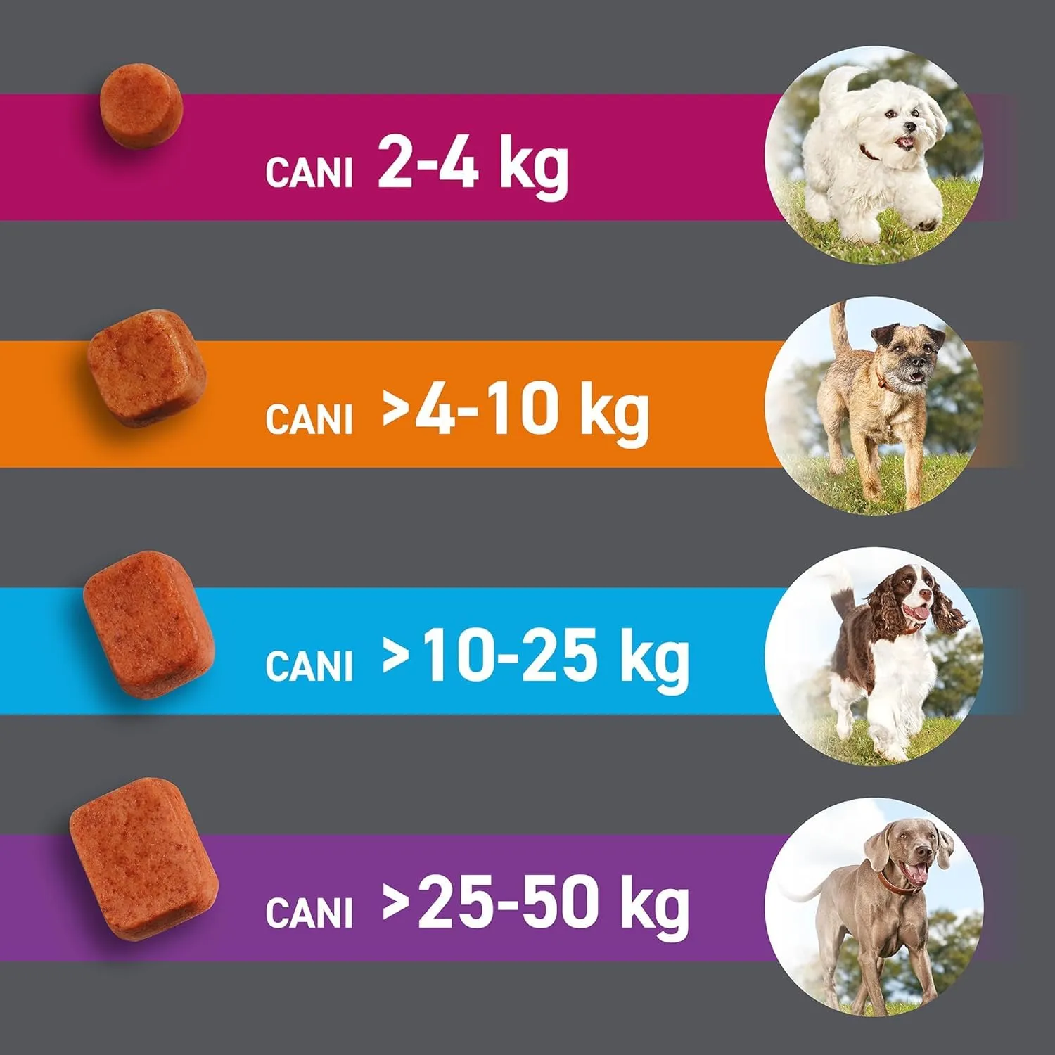 FRONTPRO Compresse Masticabili Contro Pulci e Zecche per Cani 25-50kg, 3 pezzi - immagine 6