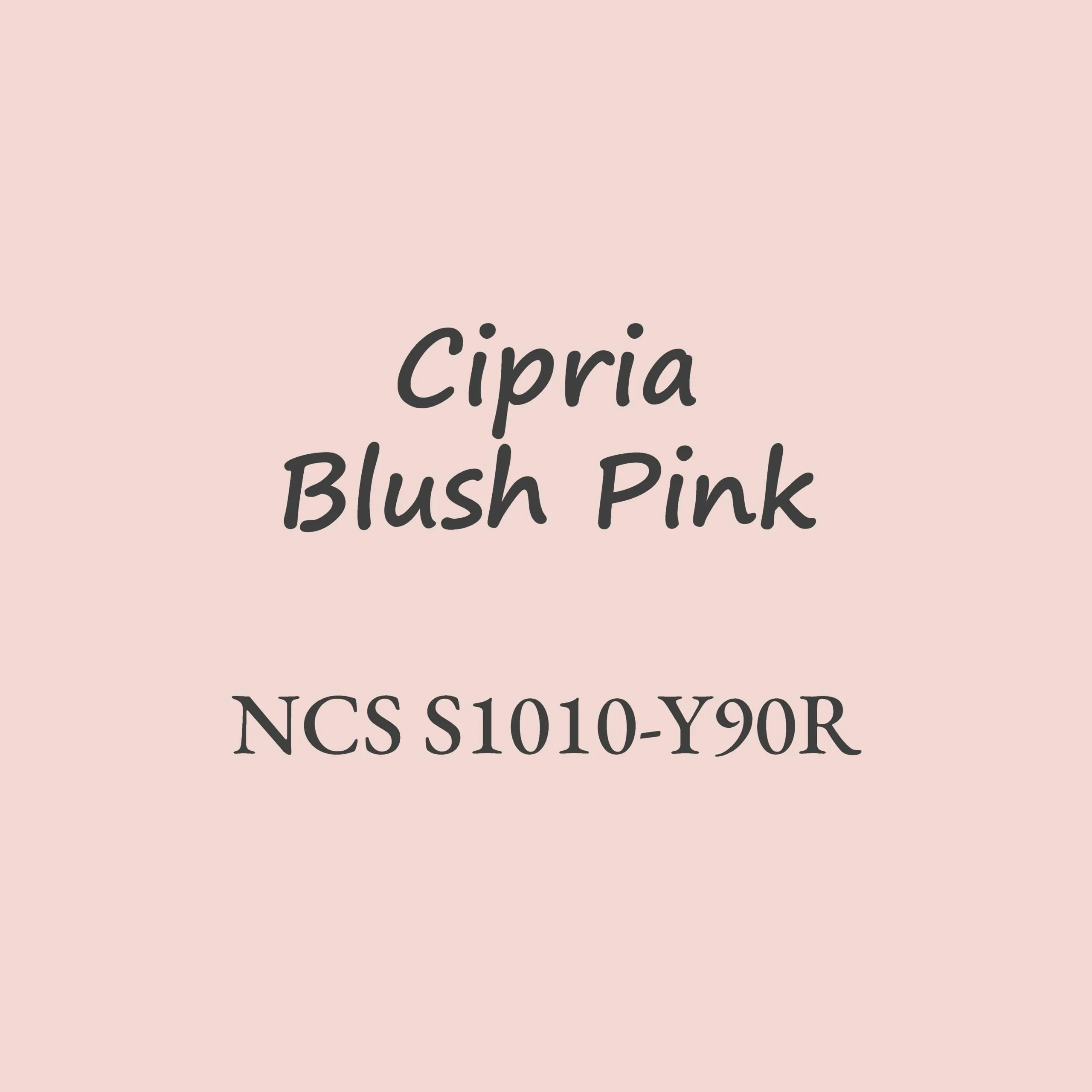 Chalk Paint Everything Cipria 250 ml - immagine 5