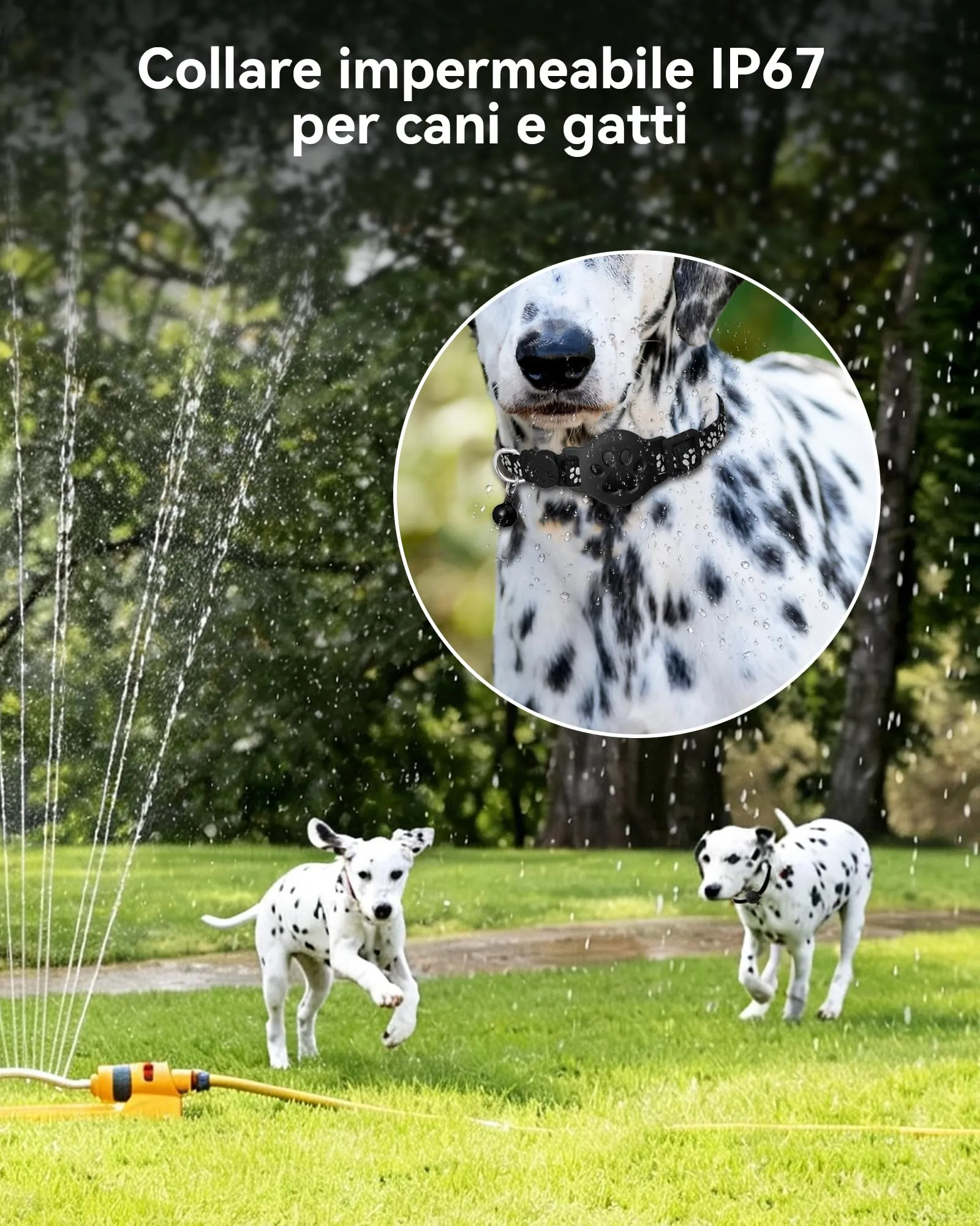 CMINGKEJI Collare GPS per Cani e Gatti senza Abbonamento, Impermeabile IP67, Compatibile con iOS e Android - immagine 4