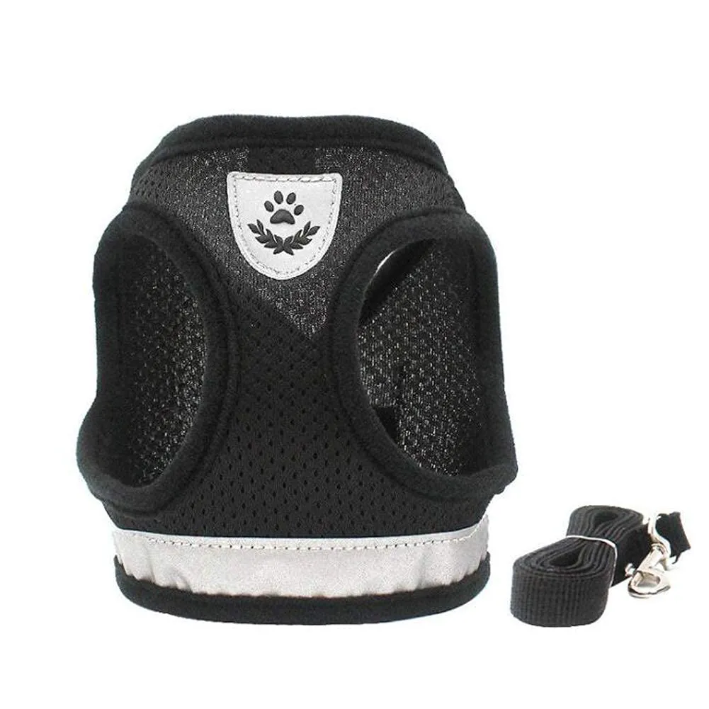 FEimaX Set Imbracatura e Guinzaglio per Cani e Gatti, Imbottita, Traspirante e Riflettente, S (Torace 30-34cm) - immagine 2