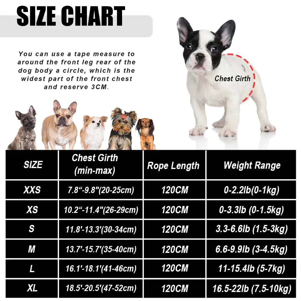 FEimaX Set Imbracatura e Guinzaglio per Cani e Gatti, Imbottita, Traspirante e Riflettente, S (Torace 30-34cm) - immagine 5