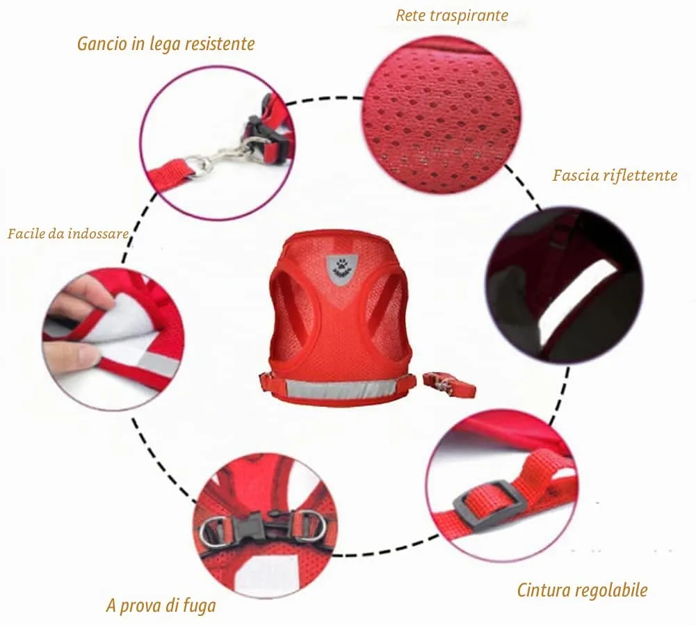 FEimaX Set Imbracatura e Guinzaglio per Cani e Gatti, Pettorina Imbottita Traspirante, Regolabile e Riflettente, Rosso, S (Torace 30-34cm) - immagine 3