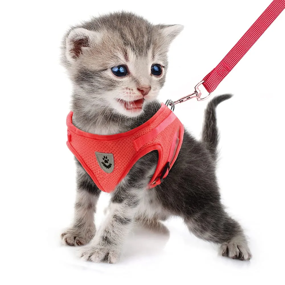 FEimaX Set Imbracatura e Guinzaglio per Cani e Gatti, Pettorina Imbottita Traspirante, Regolabile e Riflettente, Rosso, S (Torace 30-34cm) - immagine 4