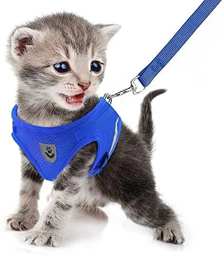 FEimaX Set Imbracatura e Guinzaglio per Cani e Gatti, Imbottita, Traspirante, Riflettente, Taglia M (Torace 35-40cm), Blu - immagine 4