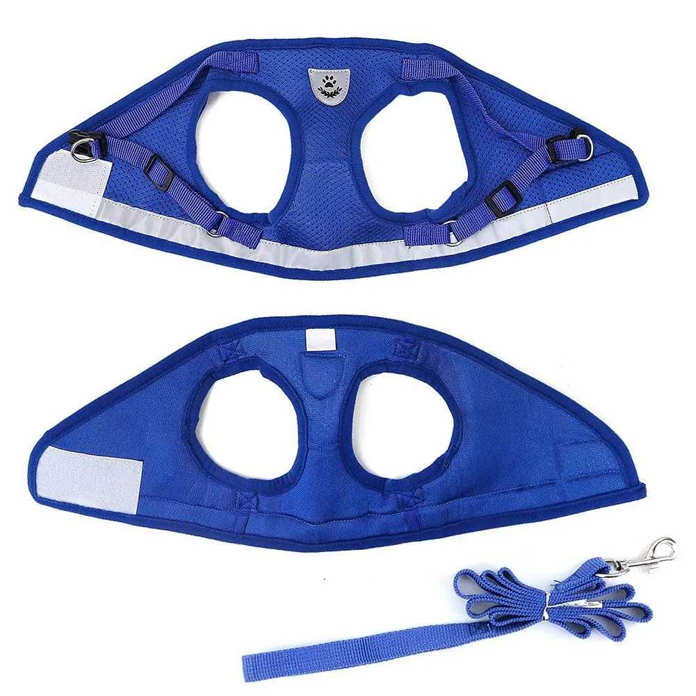 FEimaX Set Imbracatura e Guinzaglio per Cani e Gatti, Imbottita, Traspirante, Riflettente, Taglia M (Torace 35-40cm), Blu - immagine 6