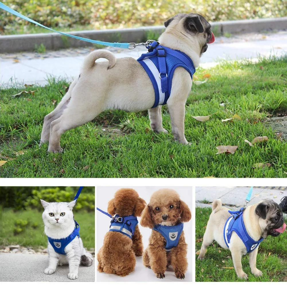 FEimaX Set Imbracatura e Guinzaglio per Cani e Gatti, Imbottita, Traspirante, Riflettente, Taglia M (Torace 35-40cm), Blu - immagine 7