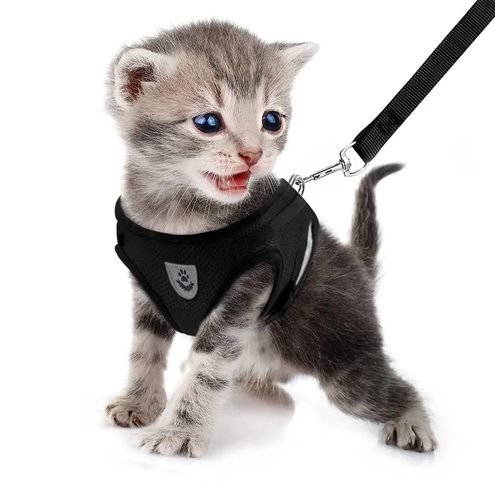 FEimaX Set Imbracatura e Guinzaglio per Cani e Gatti, Imbottita, Traspirante e Riflettente, Nero, XS (Torace 26-29cm) - immagine 1